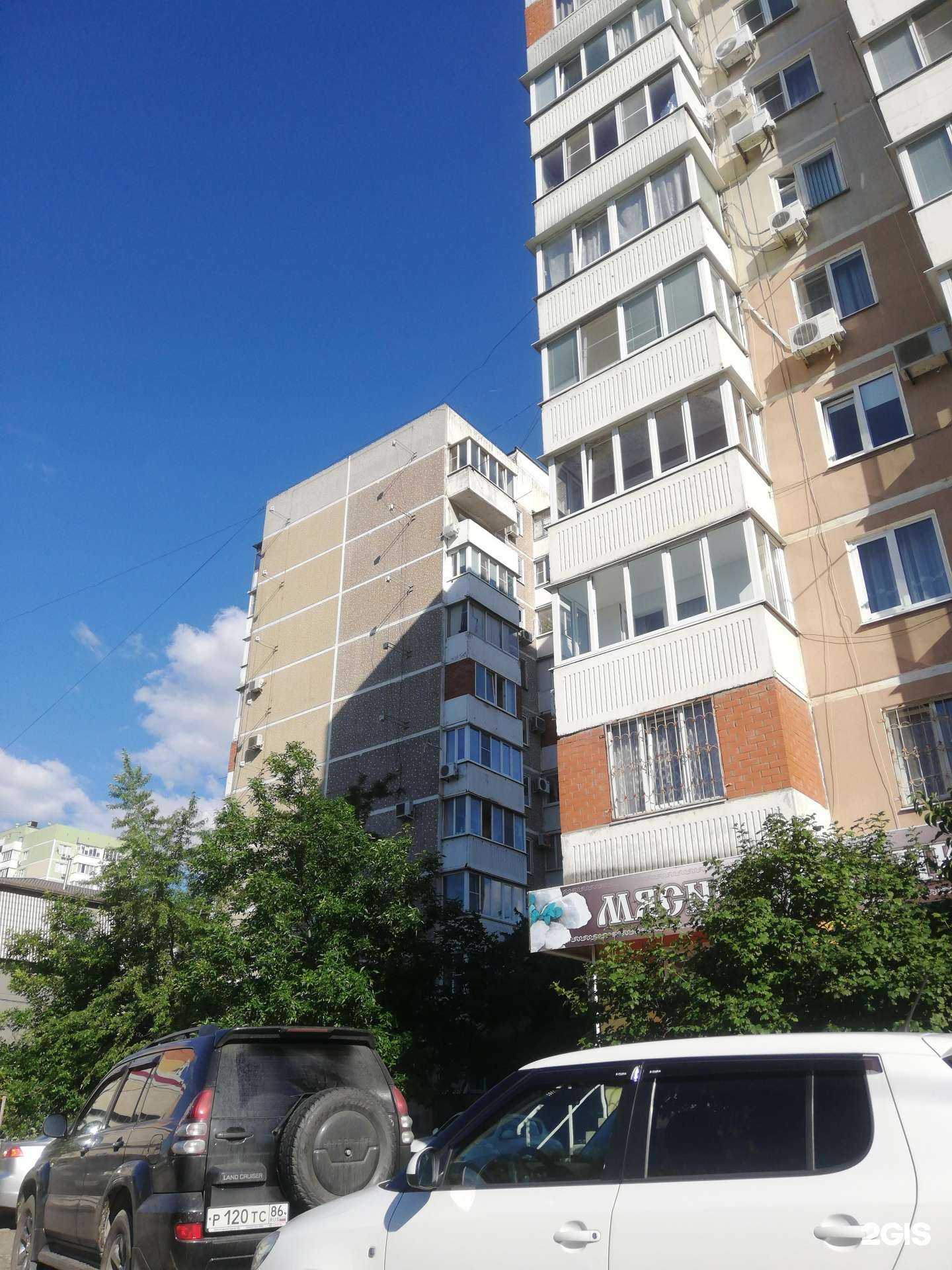 Отзывы на компанию Мир животных в Краснодаре c фото - фотография 2 из 2