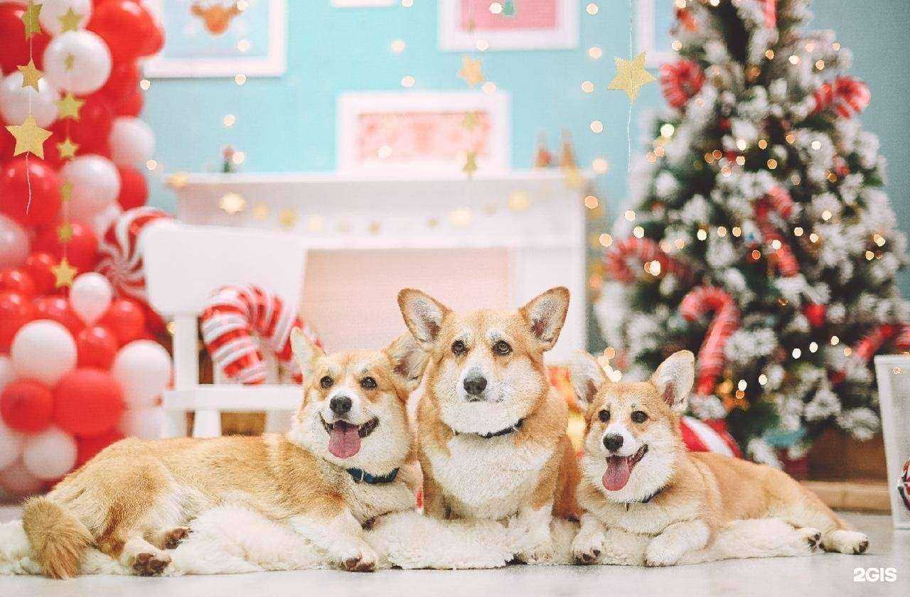 Отзывы на компанию Город друзей в Уфе c фото