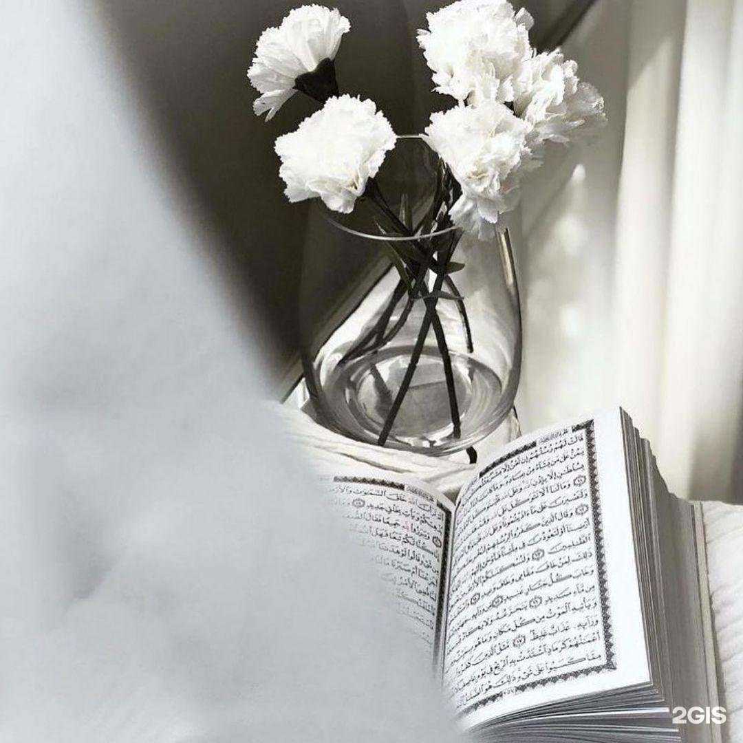 Отзывы на компанию Medina в г. Грозный c фото