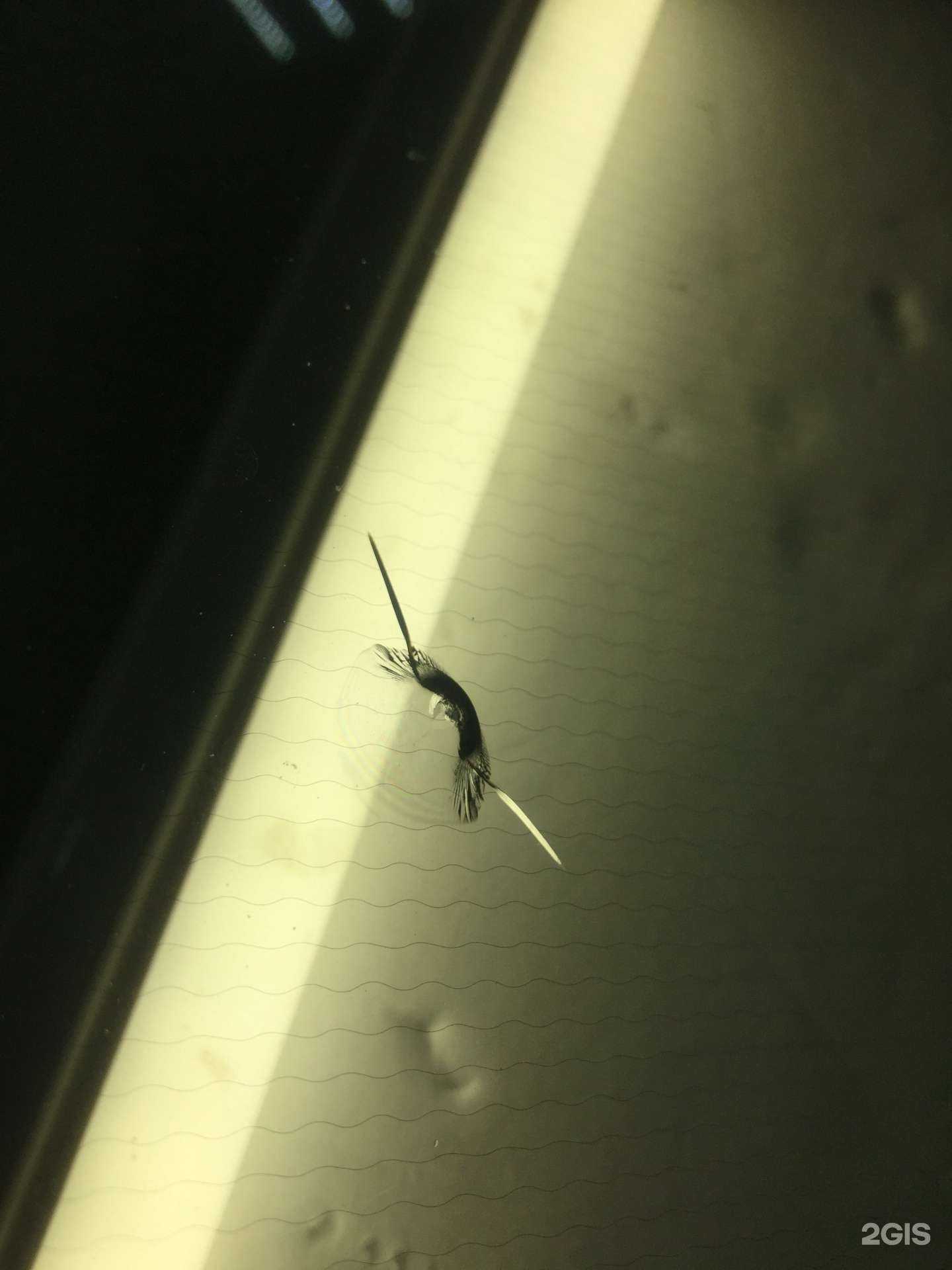 Отзывы на компанию Стекло-Уфа в Уфе c фото