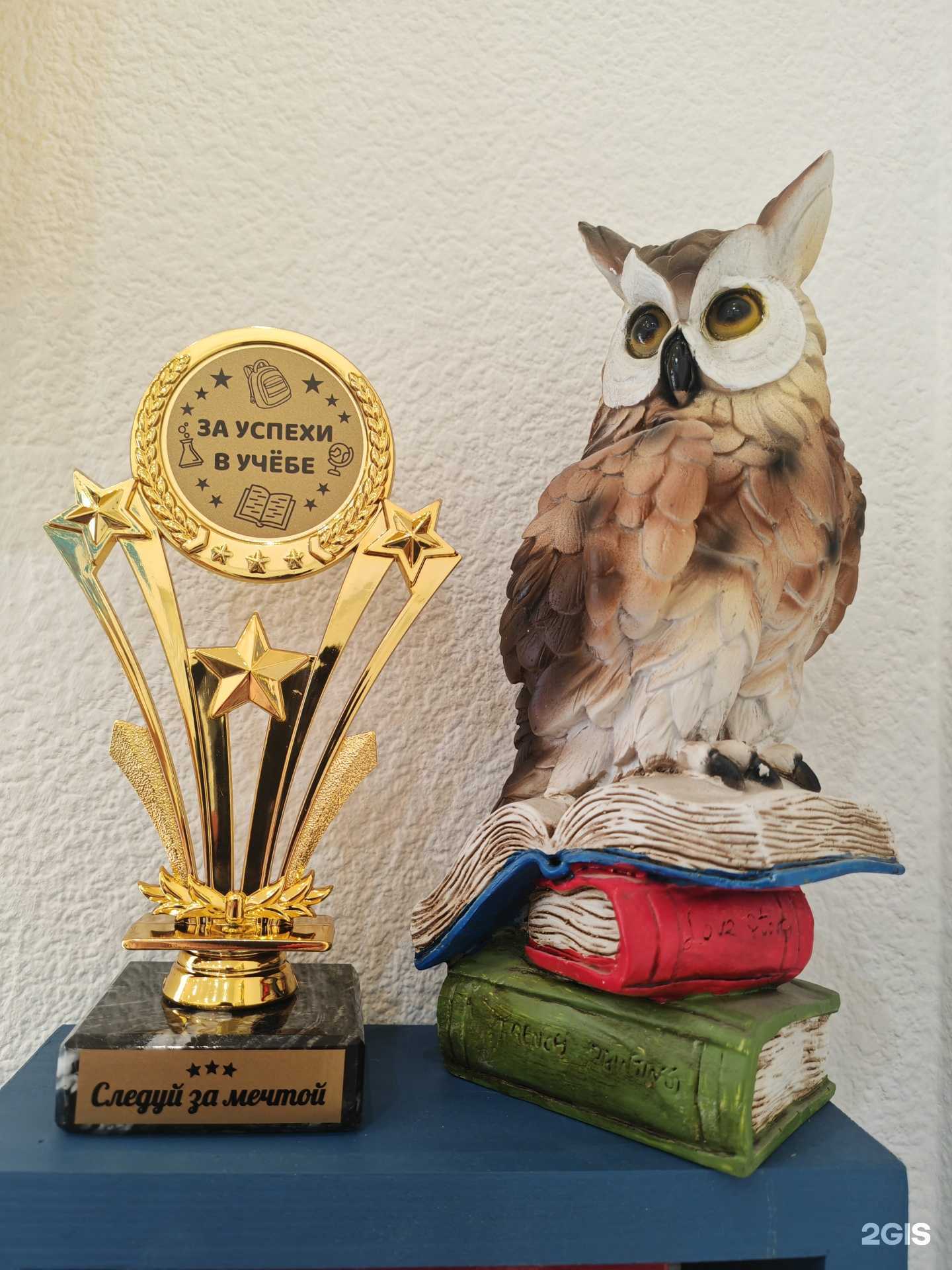 Отзывы на компанию Студент-Сервис в г. Курск c фото