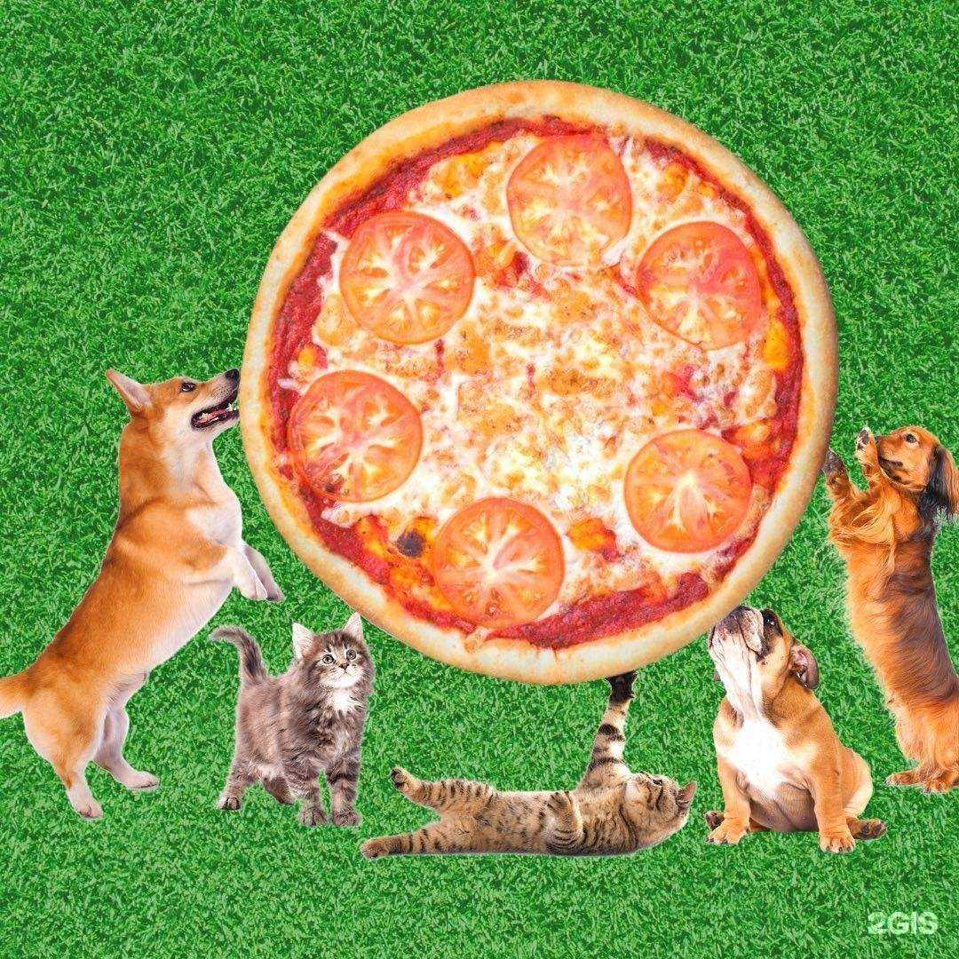 Отзывы на компанию Pizza from житниzza в г. Екатеринбург c фото