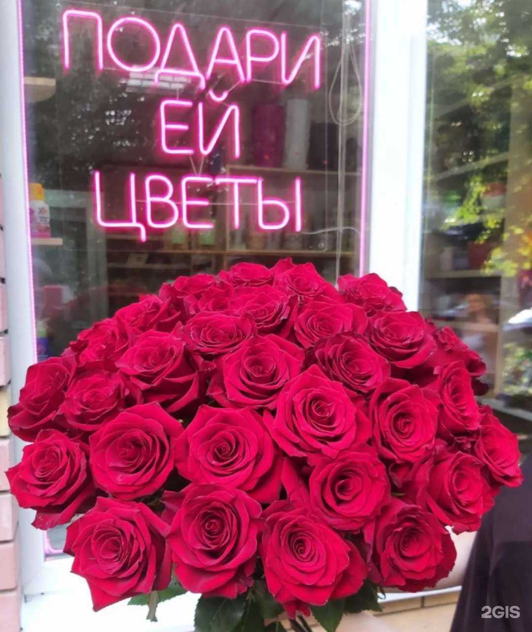 Отзывы на компанию Орхидея в Шумерли c фото