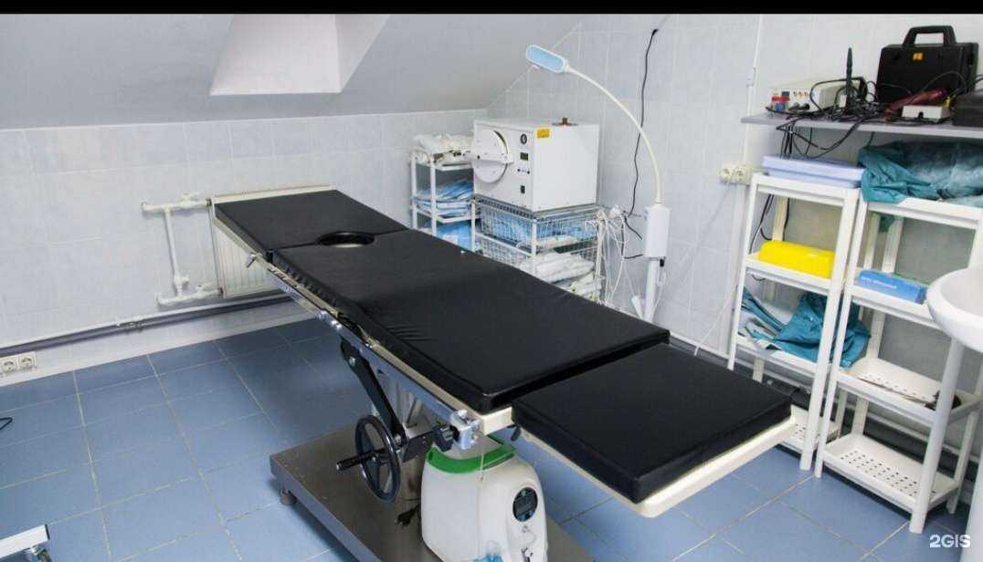 Отзывы на компанию Чистота в г. Тамбов c фото