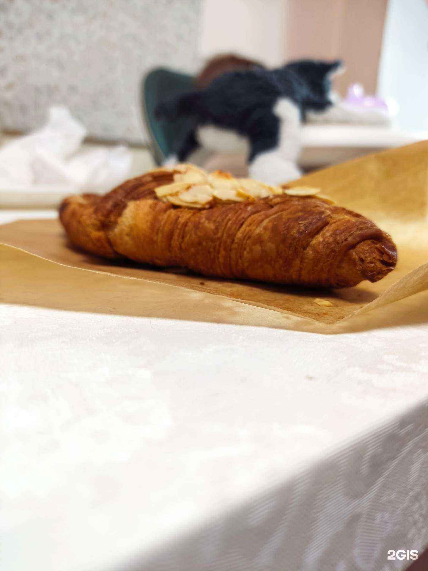 Отзывы на компанию Самокат в Казани c фото