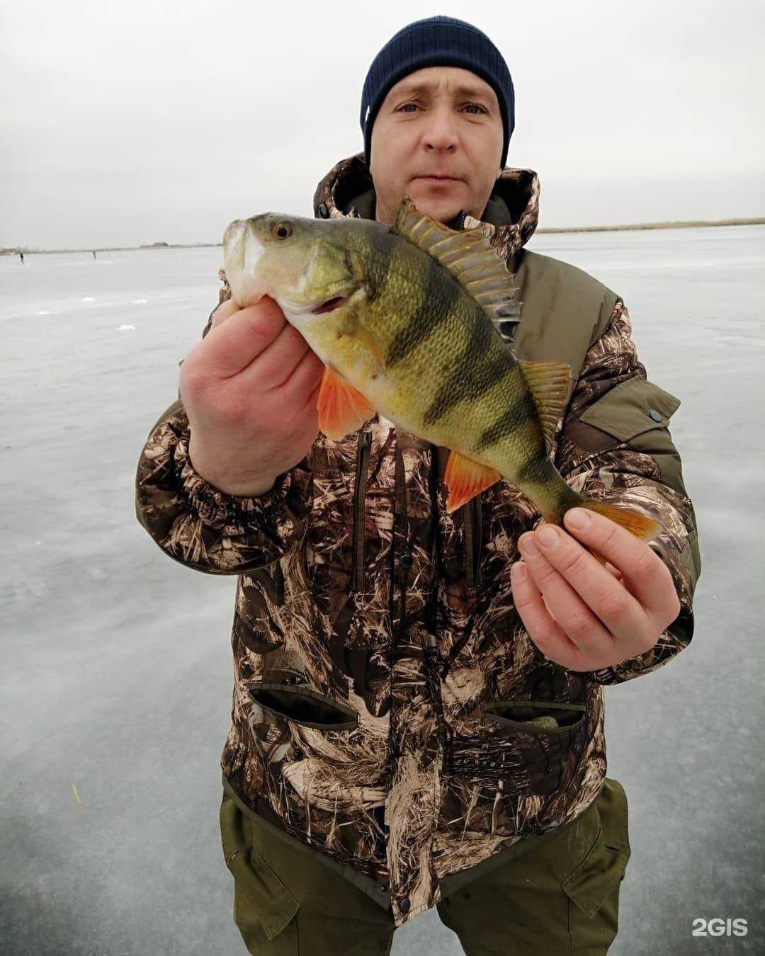 Отзывы на компанию Клёвый в г. Ростов-на-Дону c фото