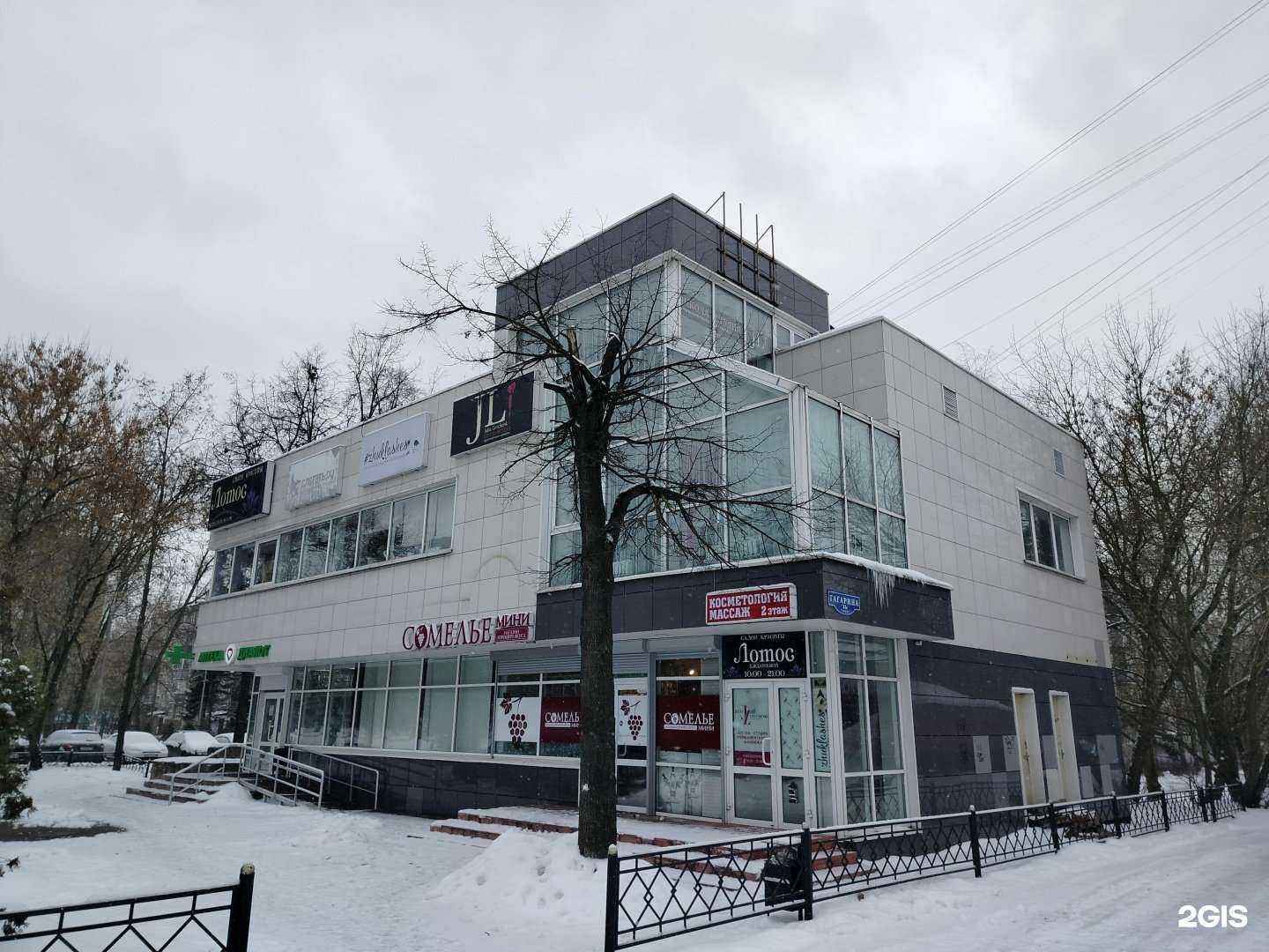 Отзывы на компанию Лотос в Жуковском c фото - фотография 2 из 2