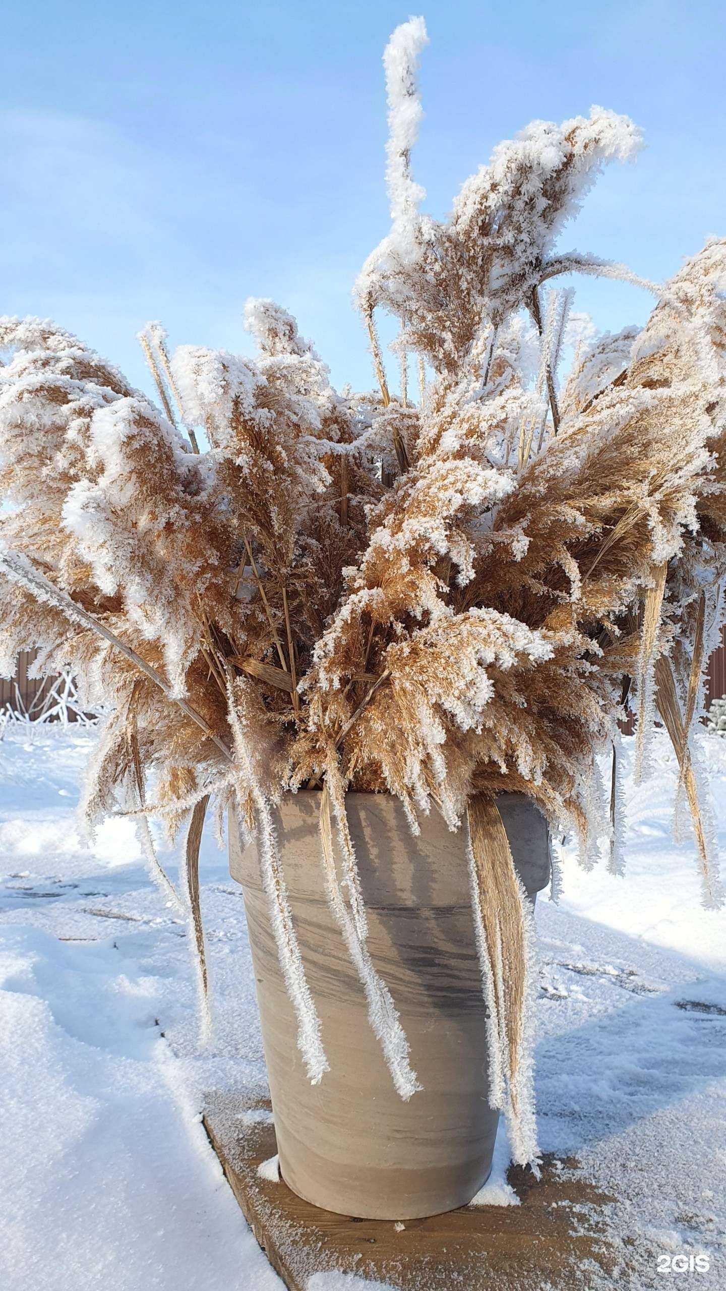 Отзывы на компанию Garnet в Омске c фото