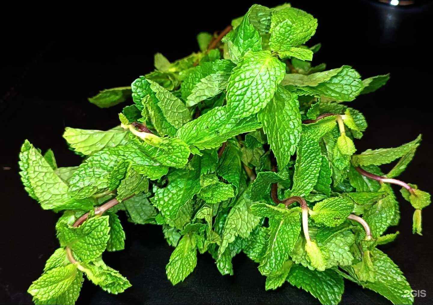 Отзывы на компанию Вертумн в Барнауле c фото