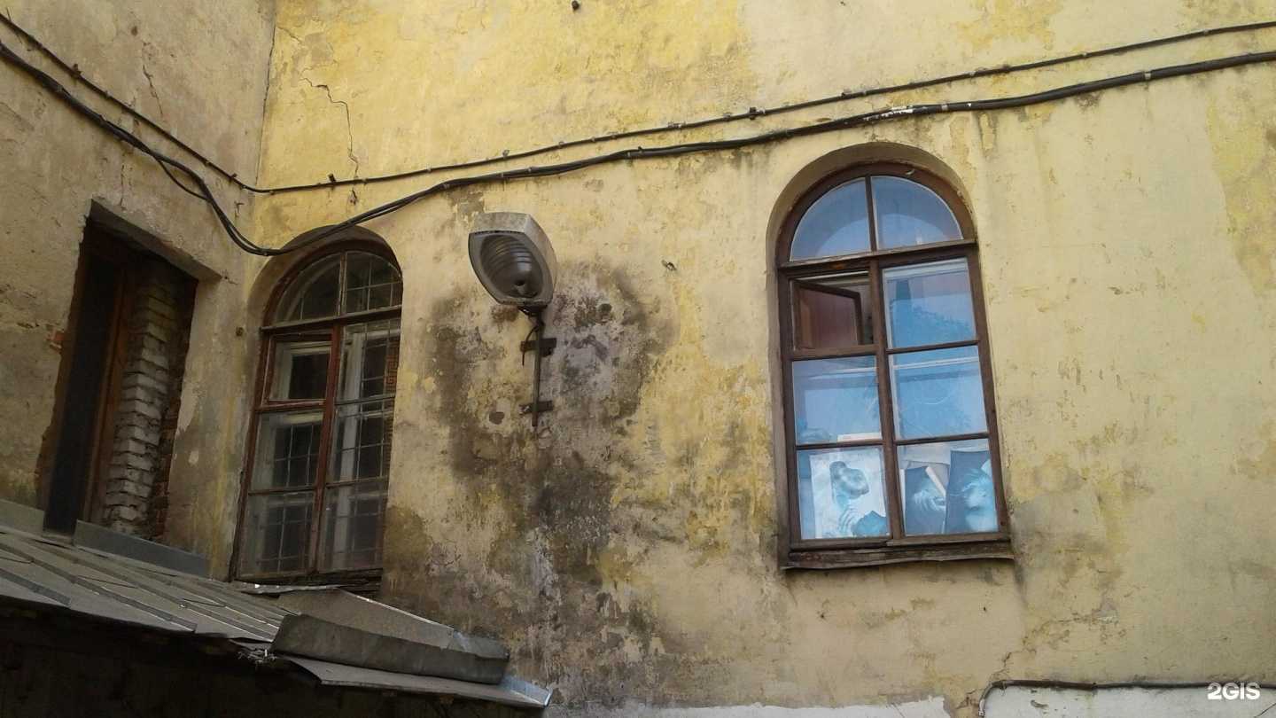 Отзывы на компанию Музыкальная студия в Гатчине c фото - фотография 2 из 2