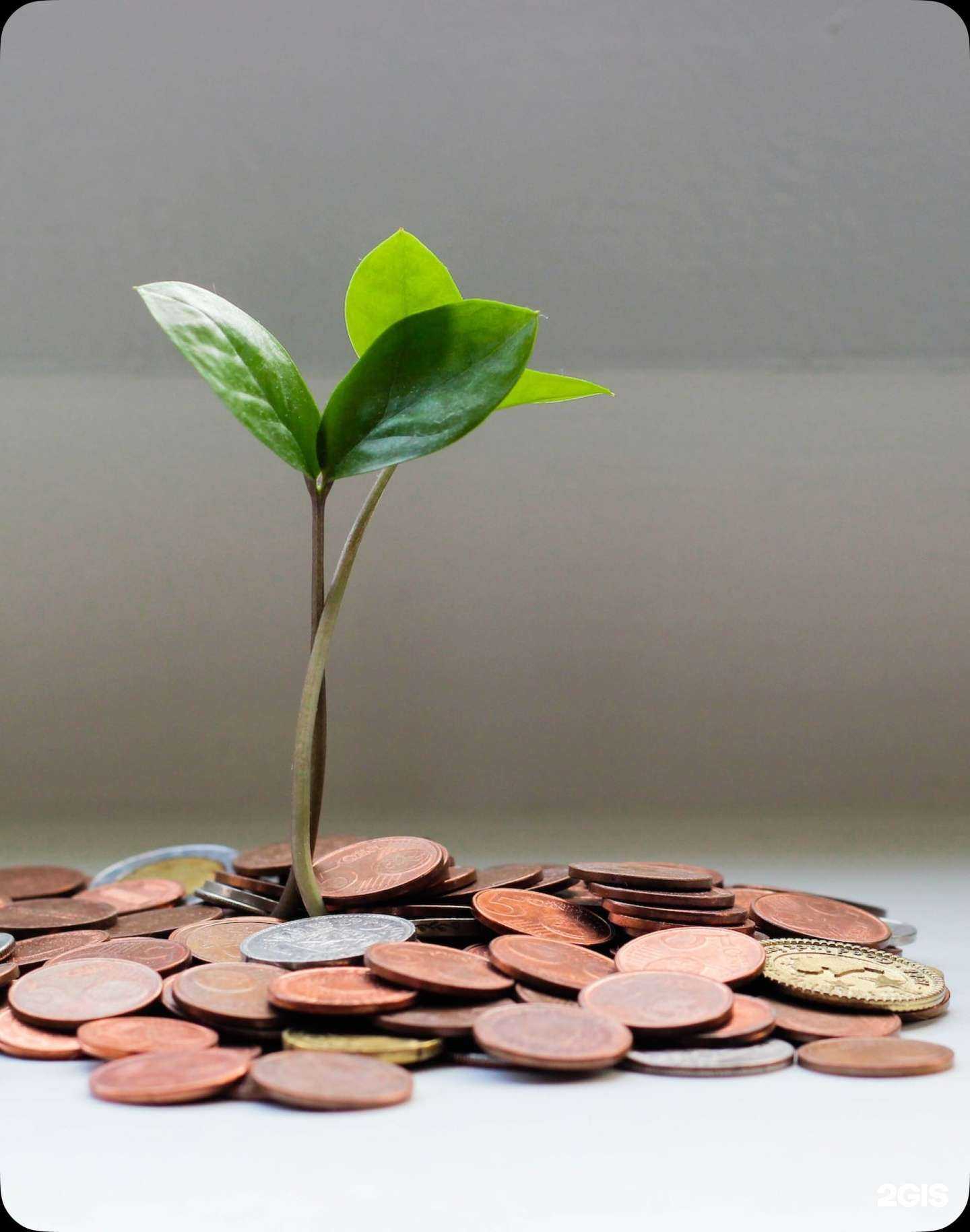 Отзывы на компанию Одобрено.рф в Ульяновске c фото