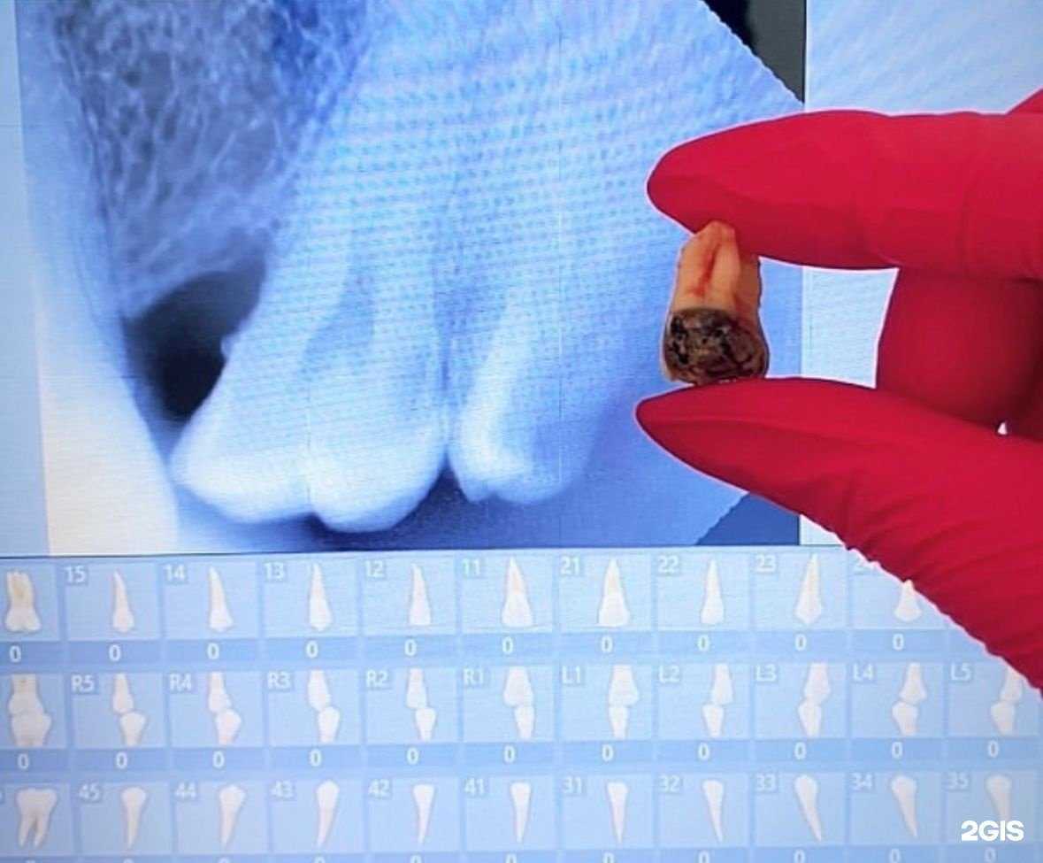 Отзывы на компанию Мм Дентал в г. Краснодар c фото