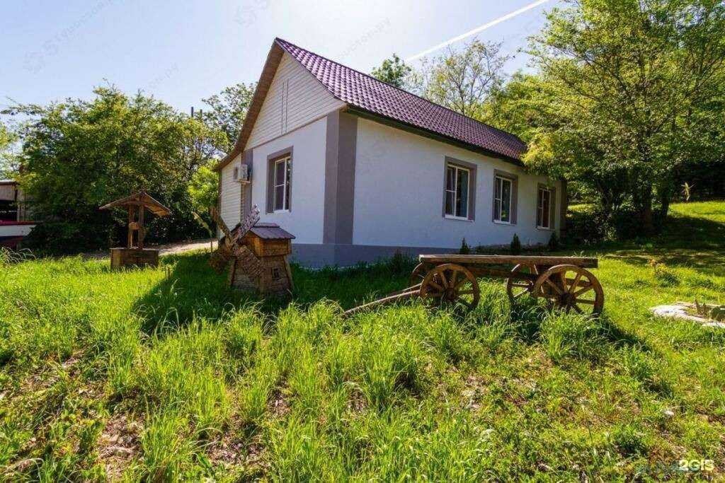 Отзывы на компанию Пальмира в Сочи c фото