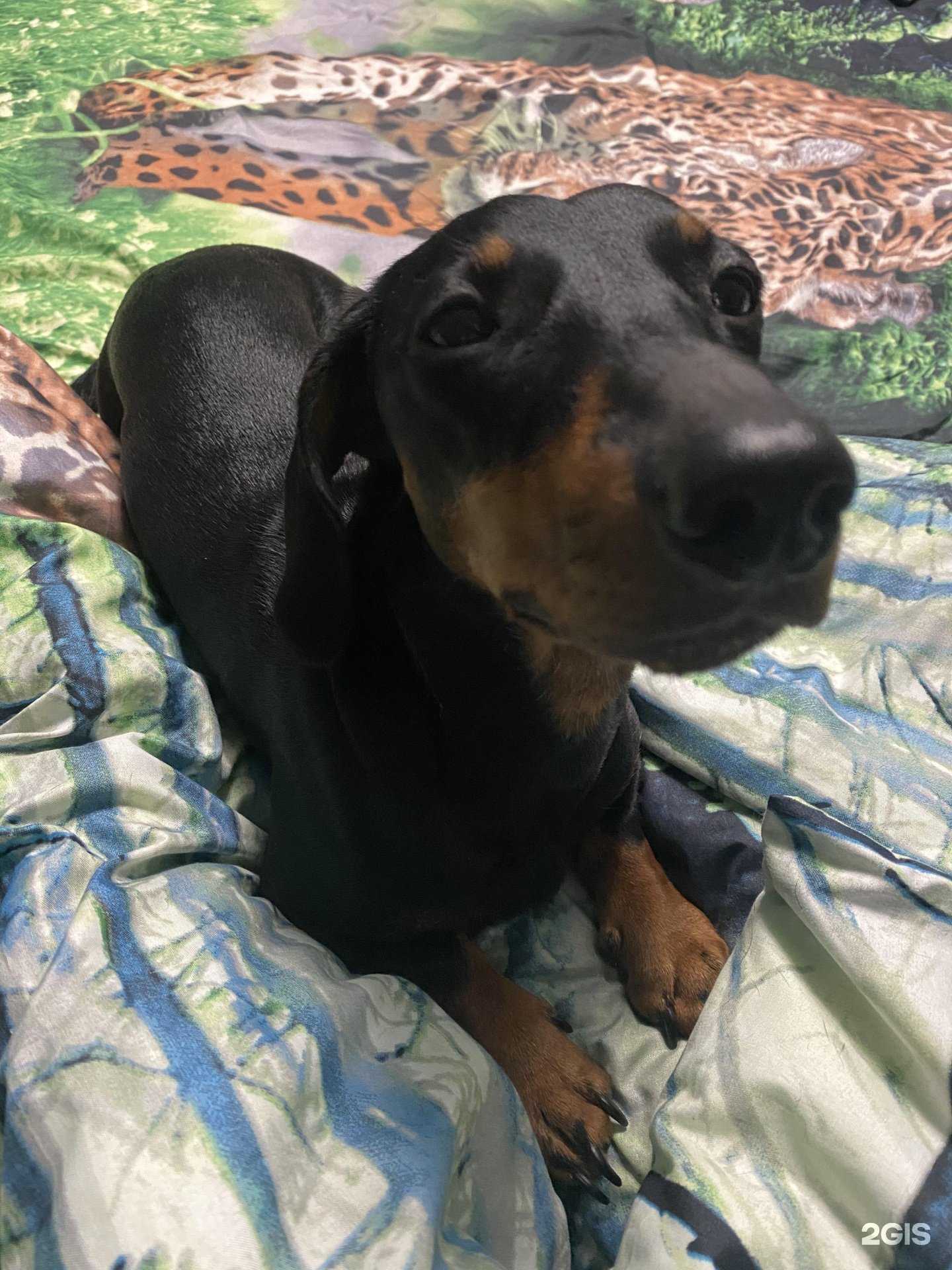 Отзывы на компанию Вита в Белгороде c фото