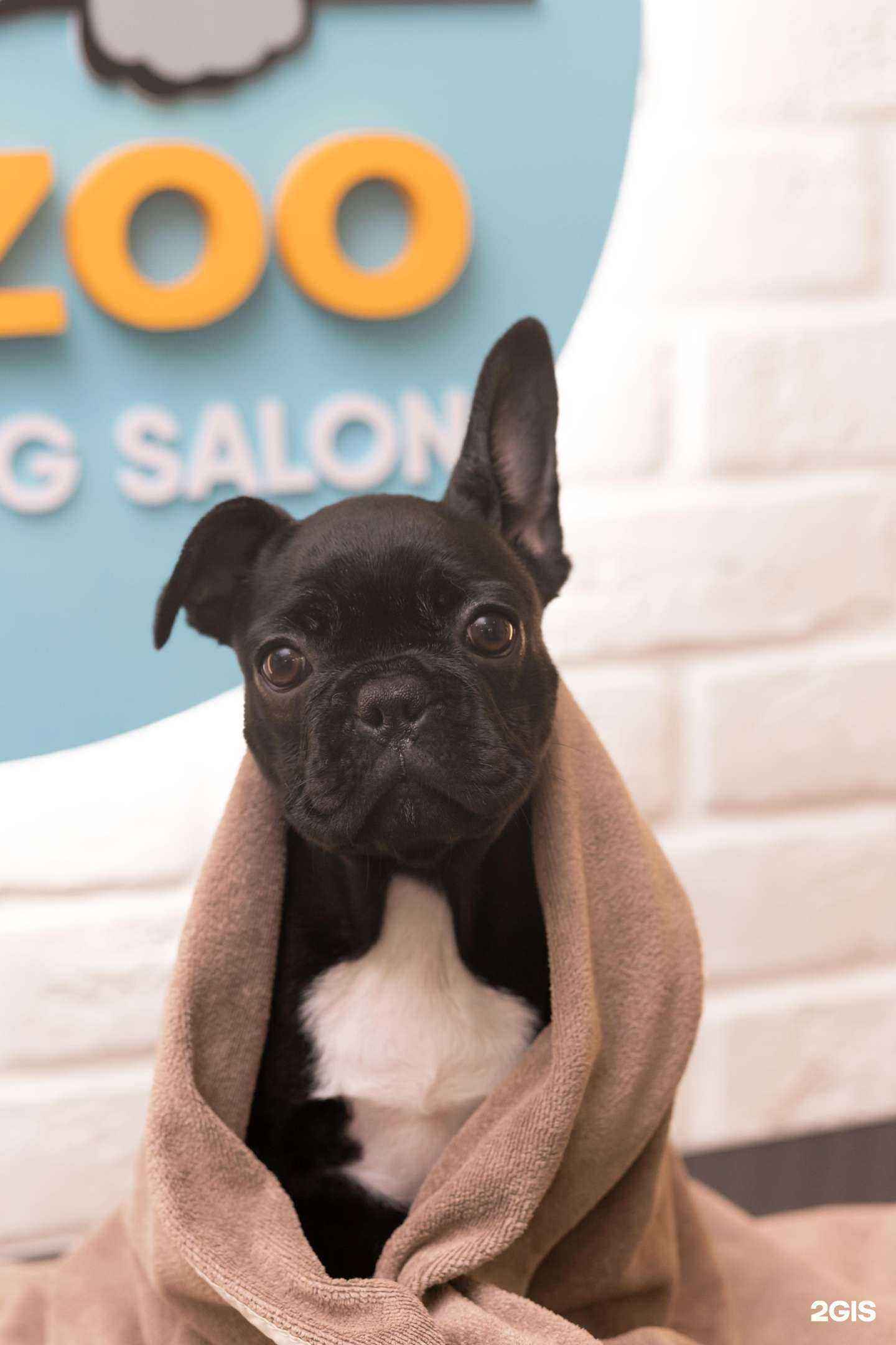 Отзывы на компанию Mr.Zoo в г. Самара c фото