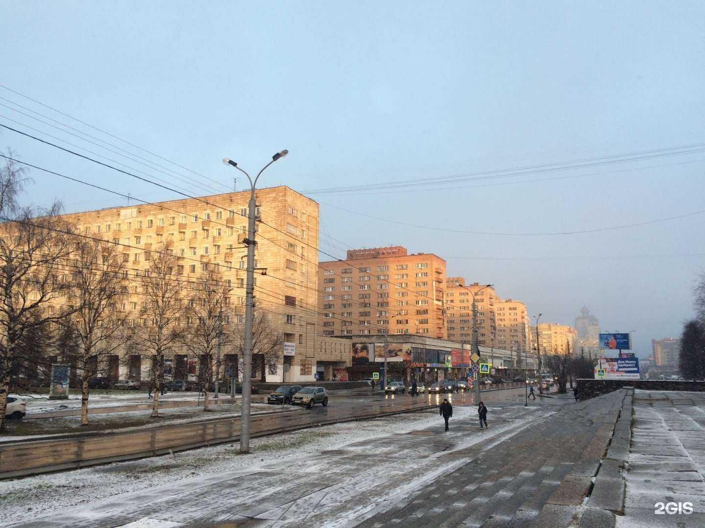 Отзывы на компанию Зооландия в Архангельске c фото - фотография 2 из 2