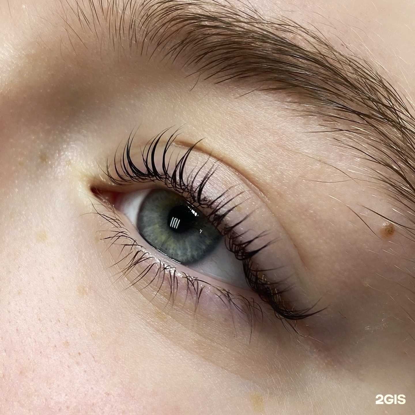 Отзывы на компанию Lash&brow в Новокузнецке c фото