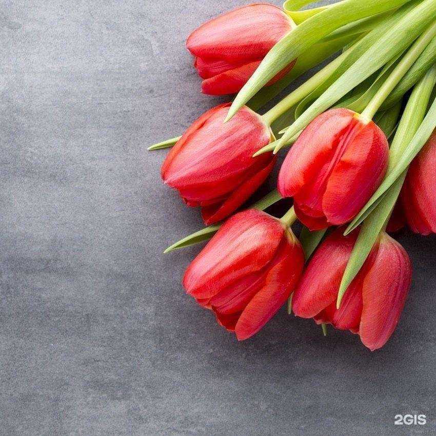 Отзывы на компанию Телемагия в г. Пятигорск c фото