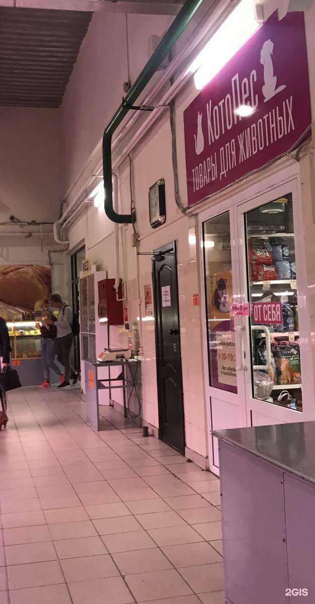 Отзывы на компанию Котопёс в г. Рязань c фото