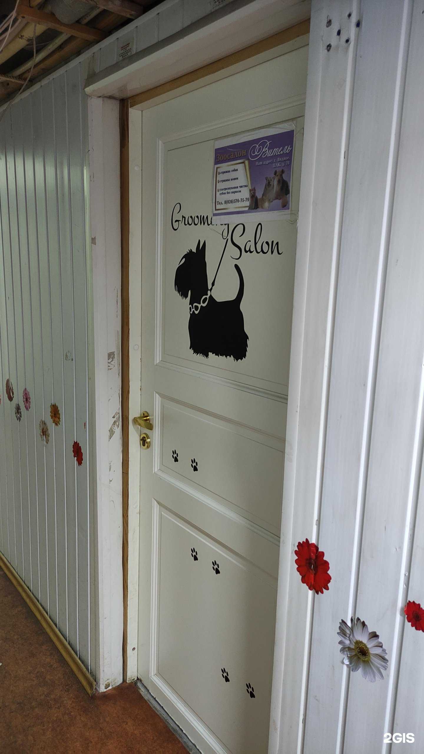 Отзывы на компанию Витель в г. Видное c фото