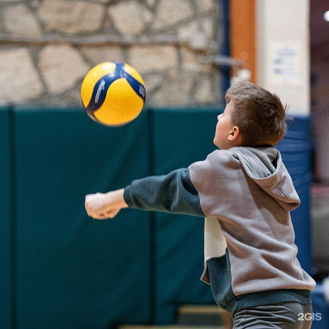 Отзывы на компанию Smart Volley в Гатчине c фото