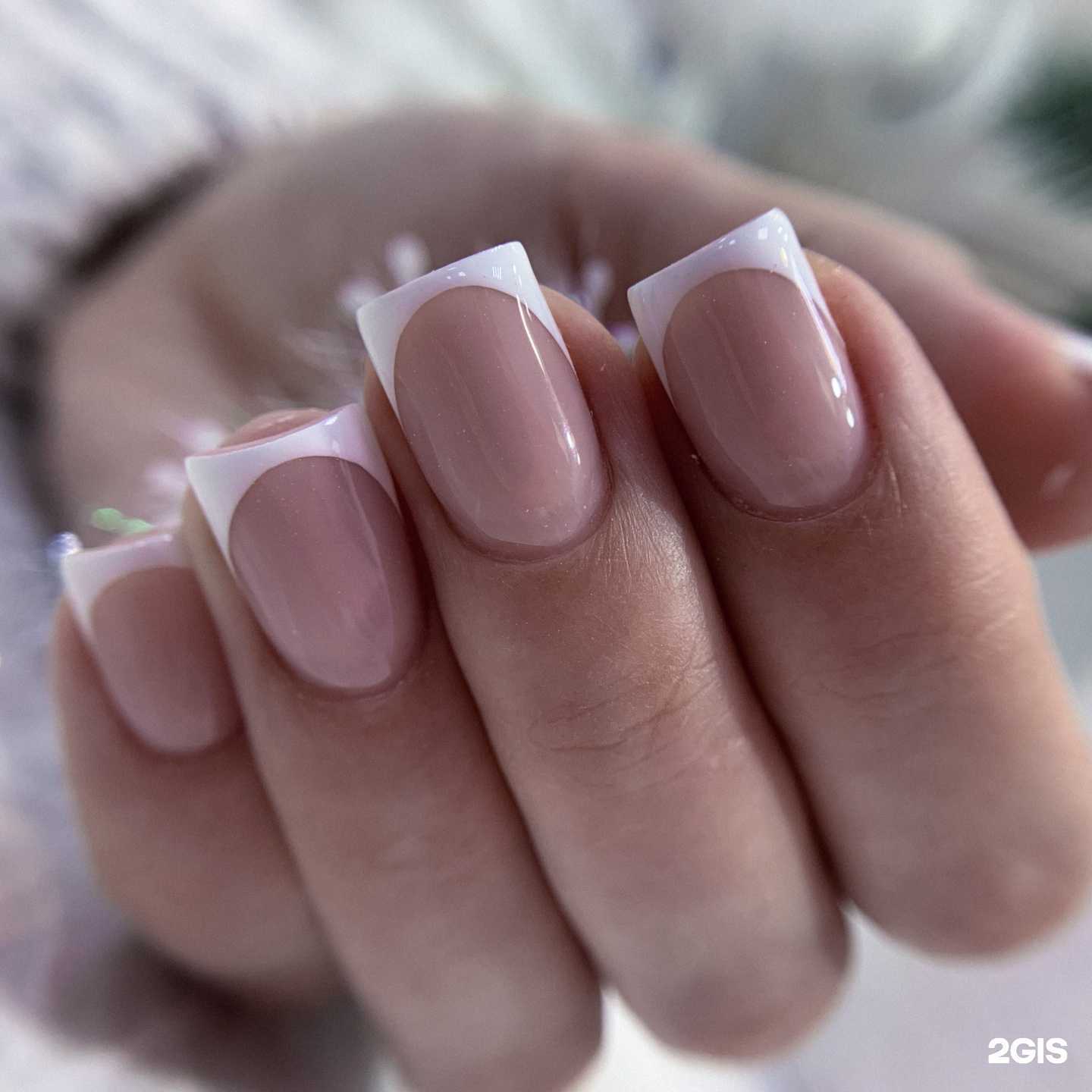 Отзывы на компанию Когтеточка в Краснодаре c фото