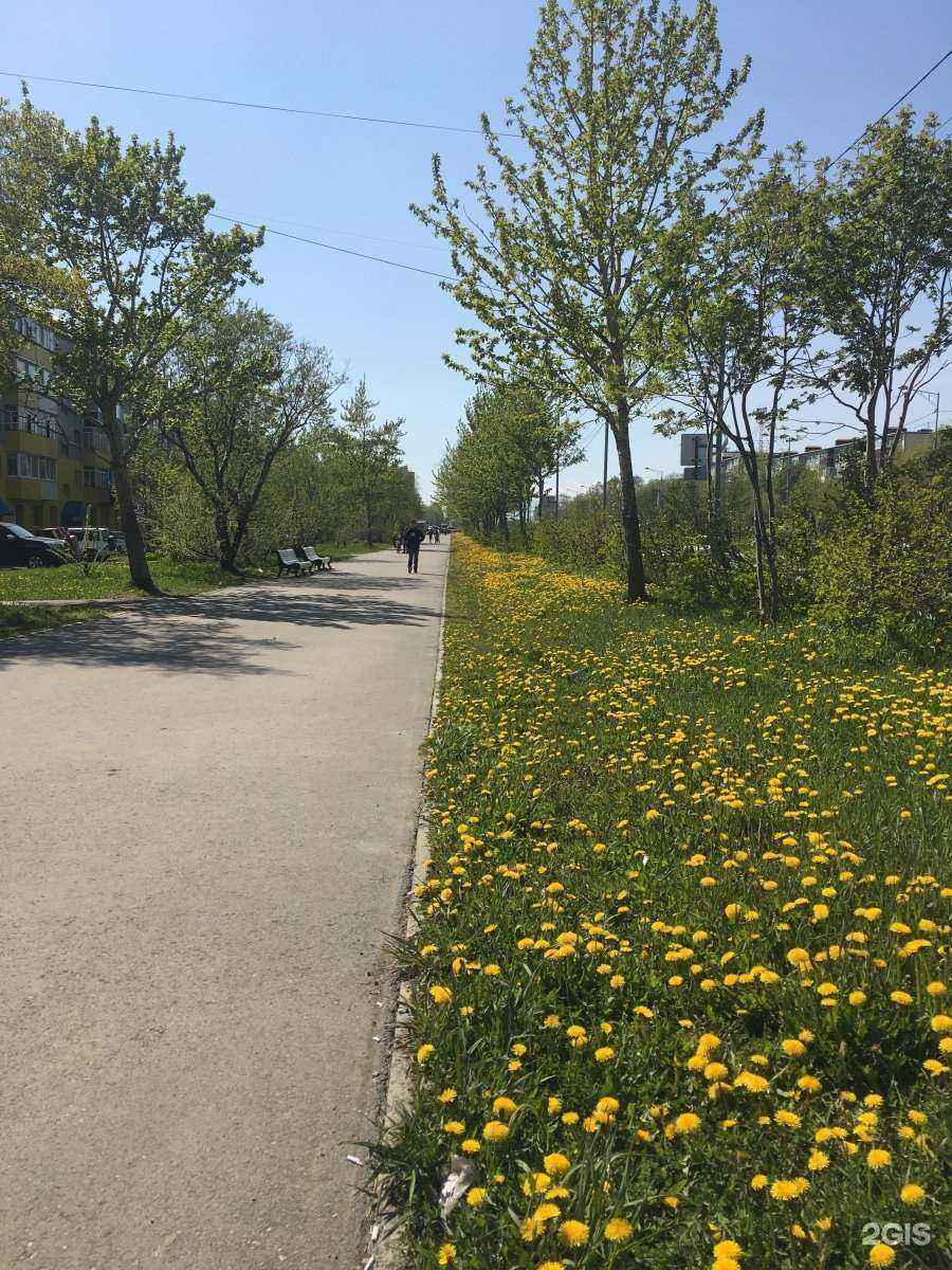 Отзывы на компанию ЧистЮля в Петропавловске-Камчатском c фото - фотография 2 из 2