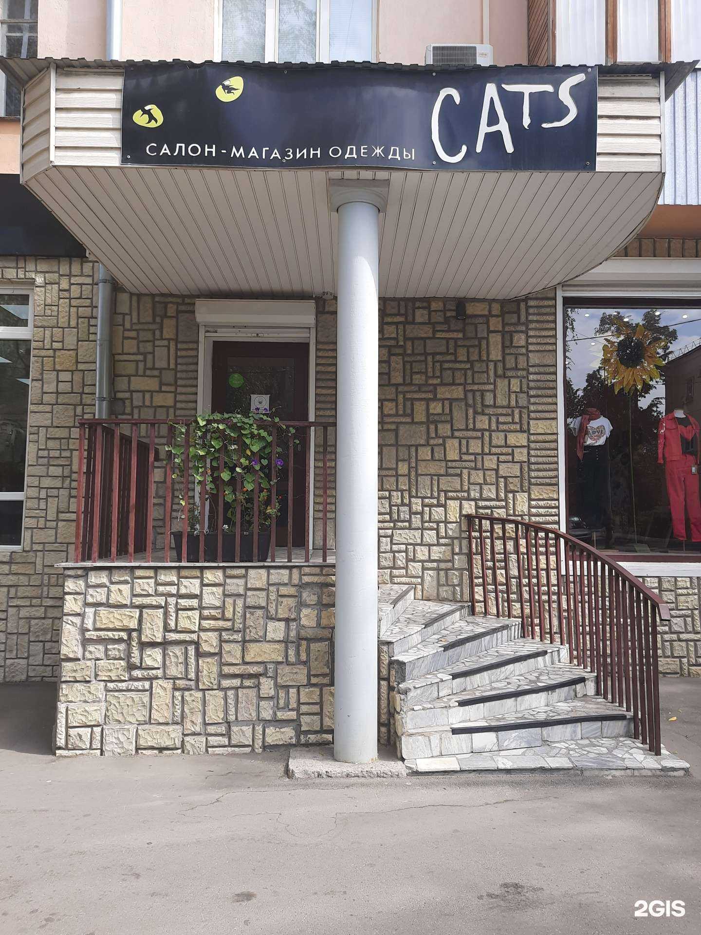 Отзывы на компанию Cats в Тольятти c фото