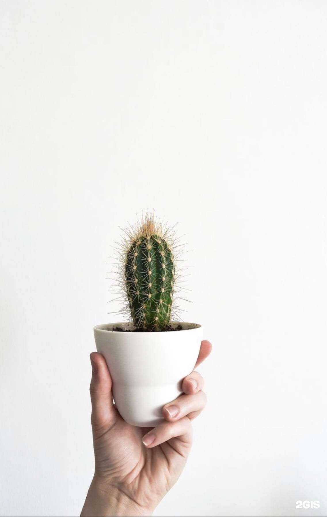 Отзывы на компанию Osoba в Нижнем Новгороде c фото