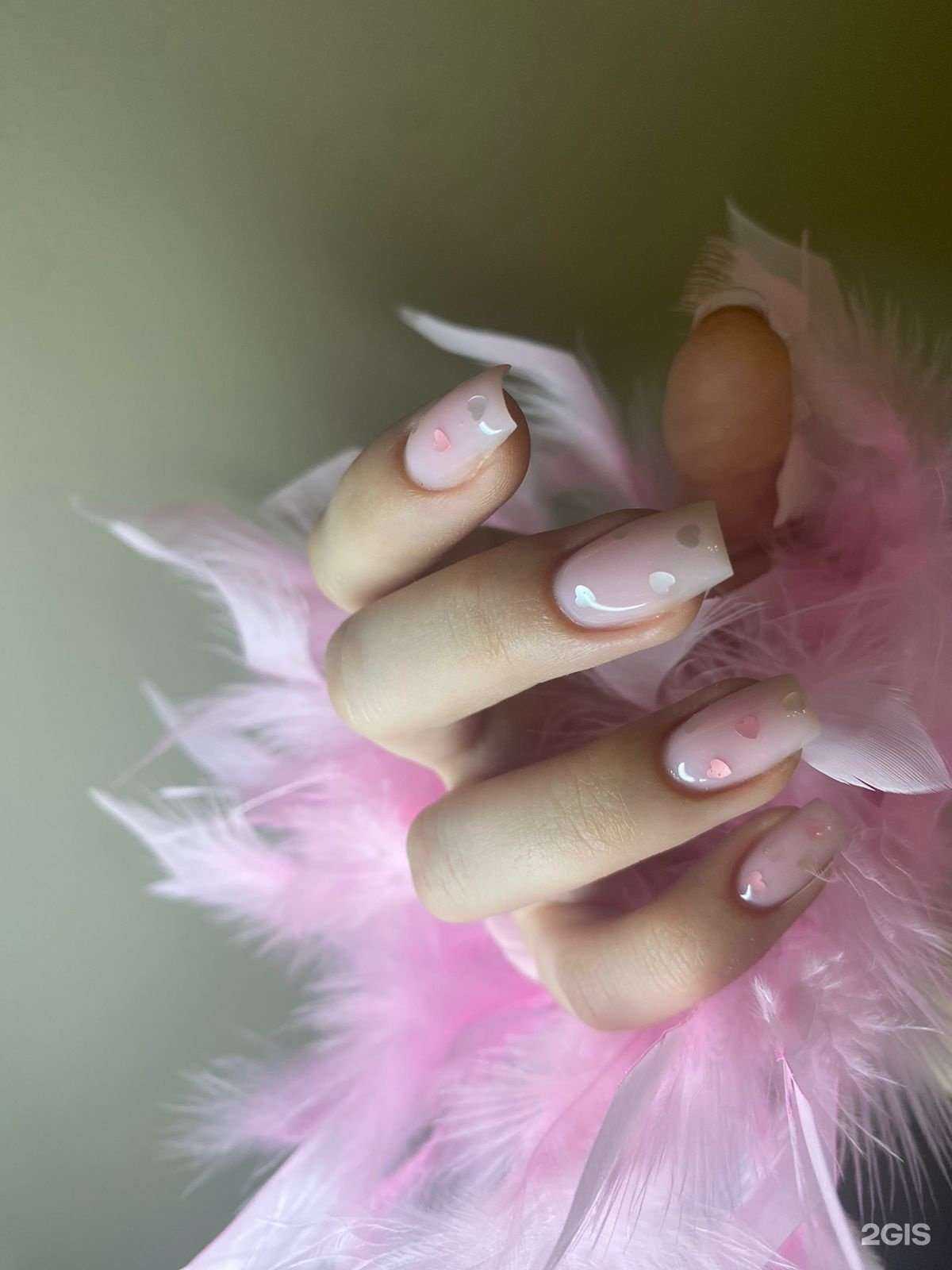 Отзывы на компанию Ежевика в Воронеже c фото