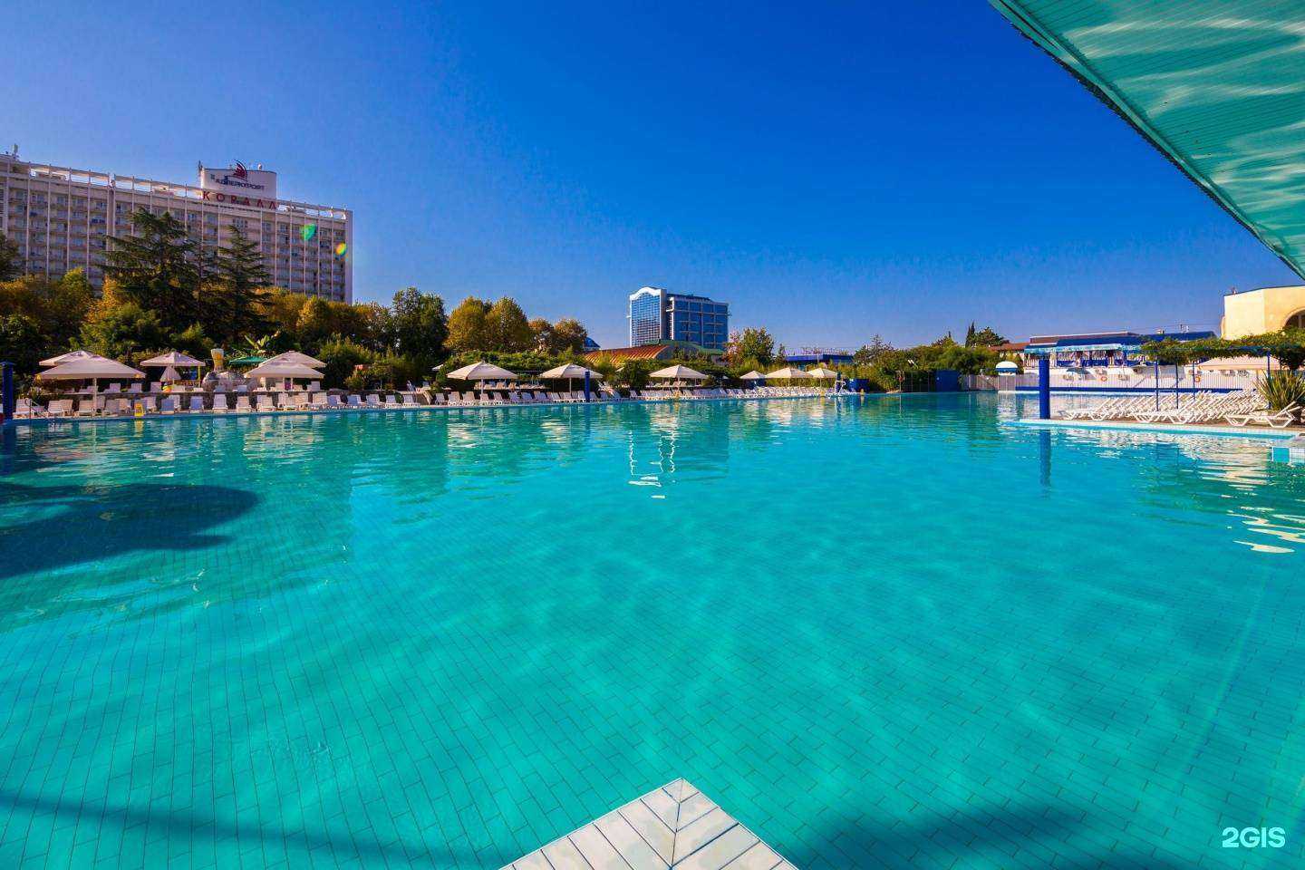 Отзывы на компанию Адлеркурорт в г. Сочи c фото