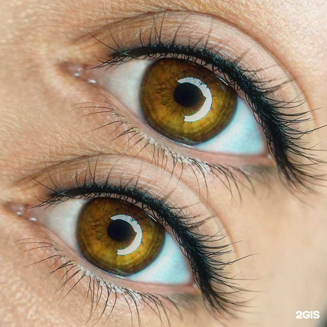 Отзывы на компанию Асель в Сочи c фото