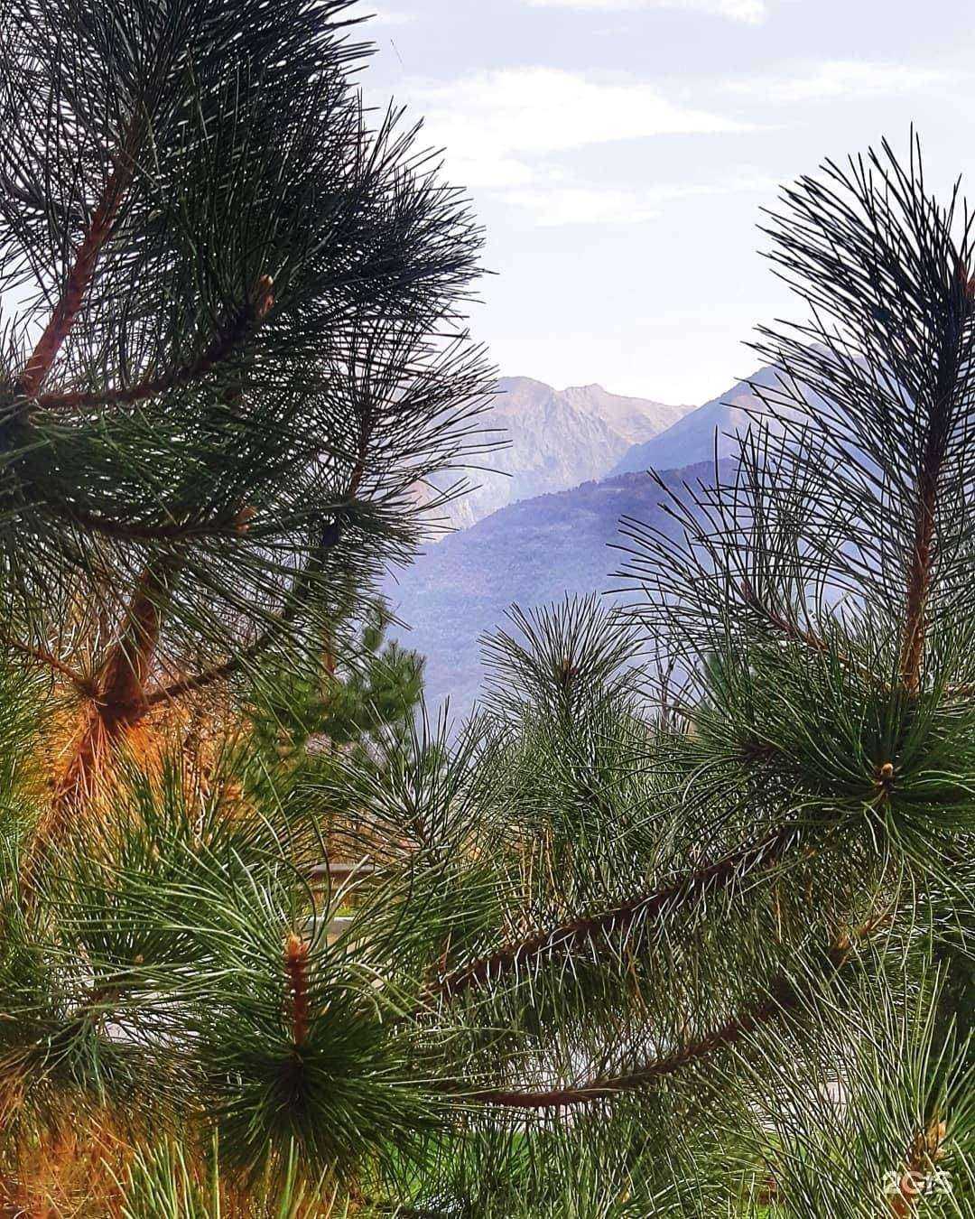 Отзывы на компанию Тортуга в Сочи c фото