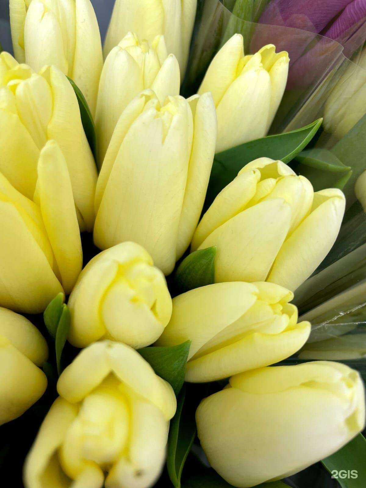 Отзывы на компанию ADORA в Кемерове c фото