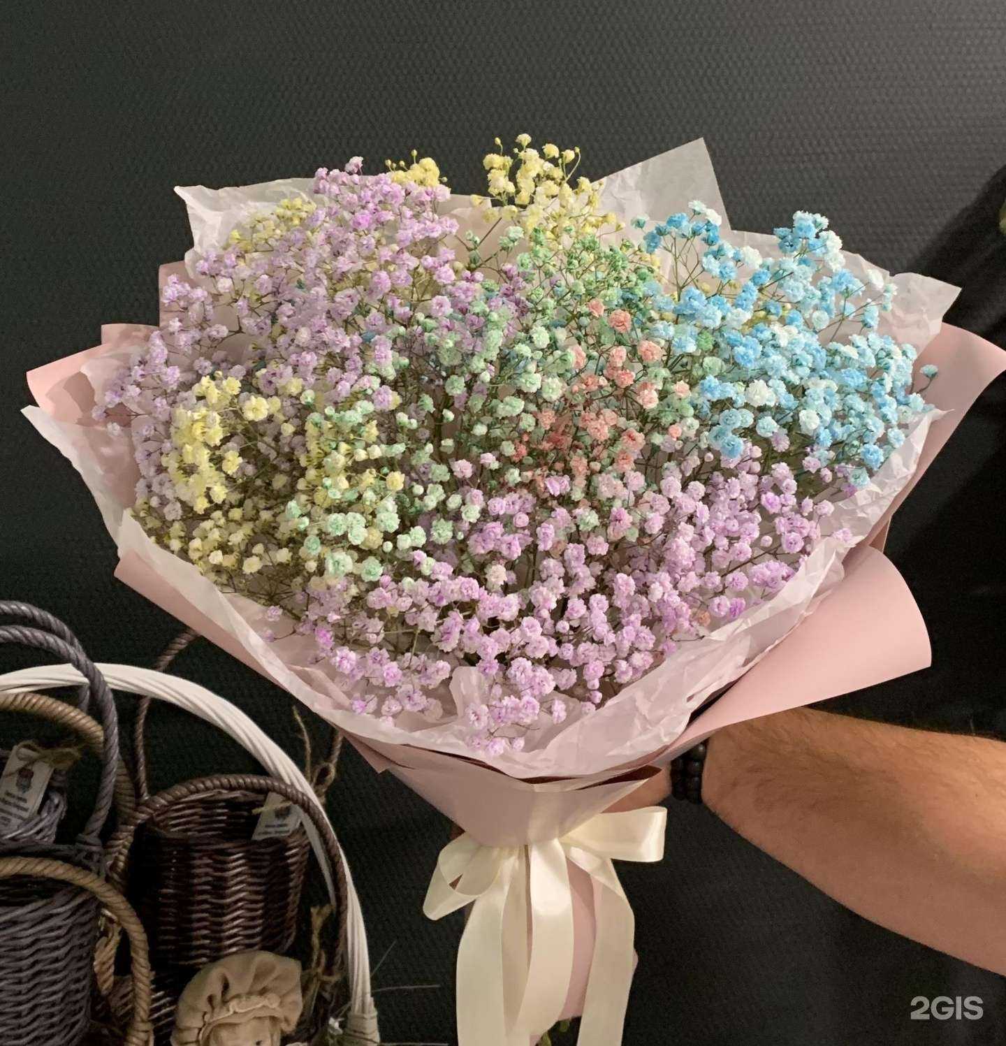 Отзывы на компанию Shiko в г. Екатеринбург c фото