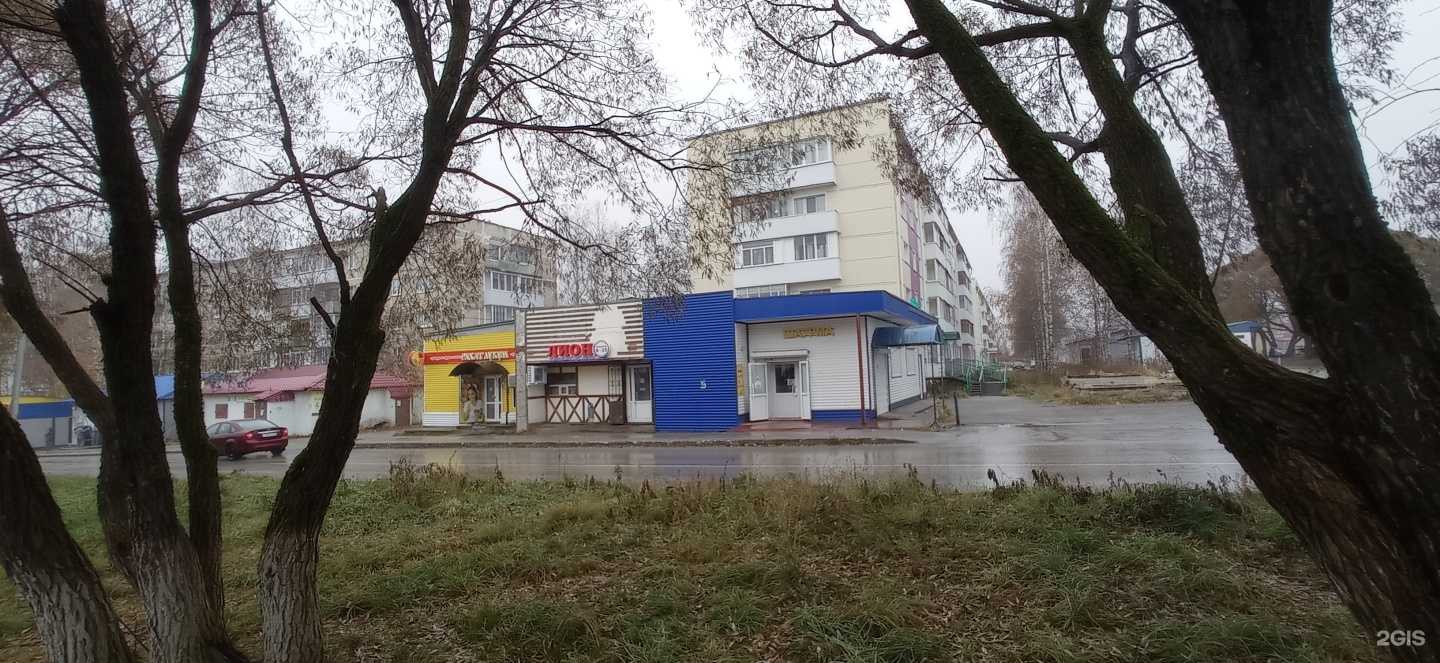 Отзывы на компанию ЦветОк в Губахе c фото - фотография 2 из 2