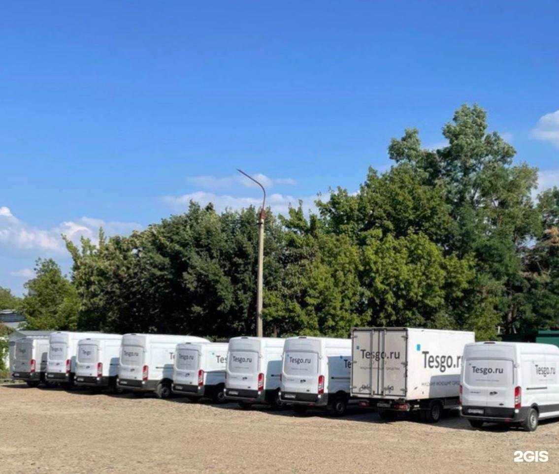 Отзывы на компанию Tesgo в Краснодаре c фото
