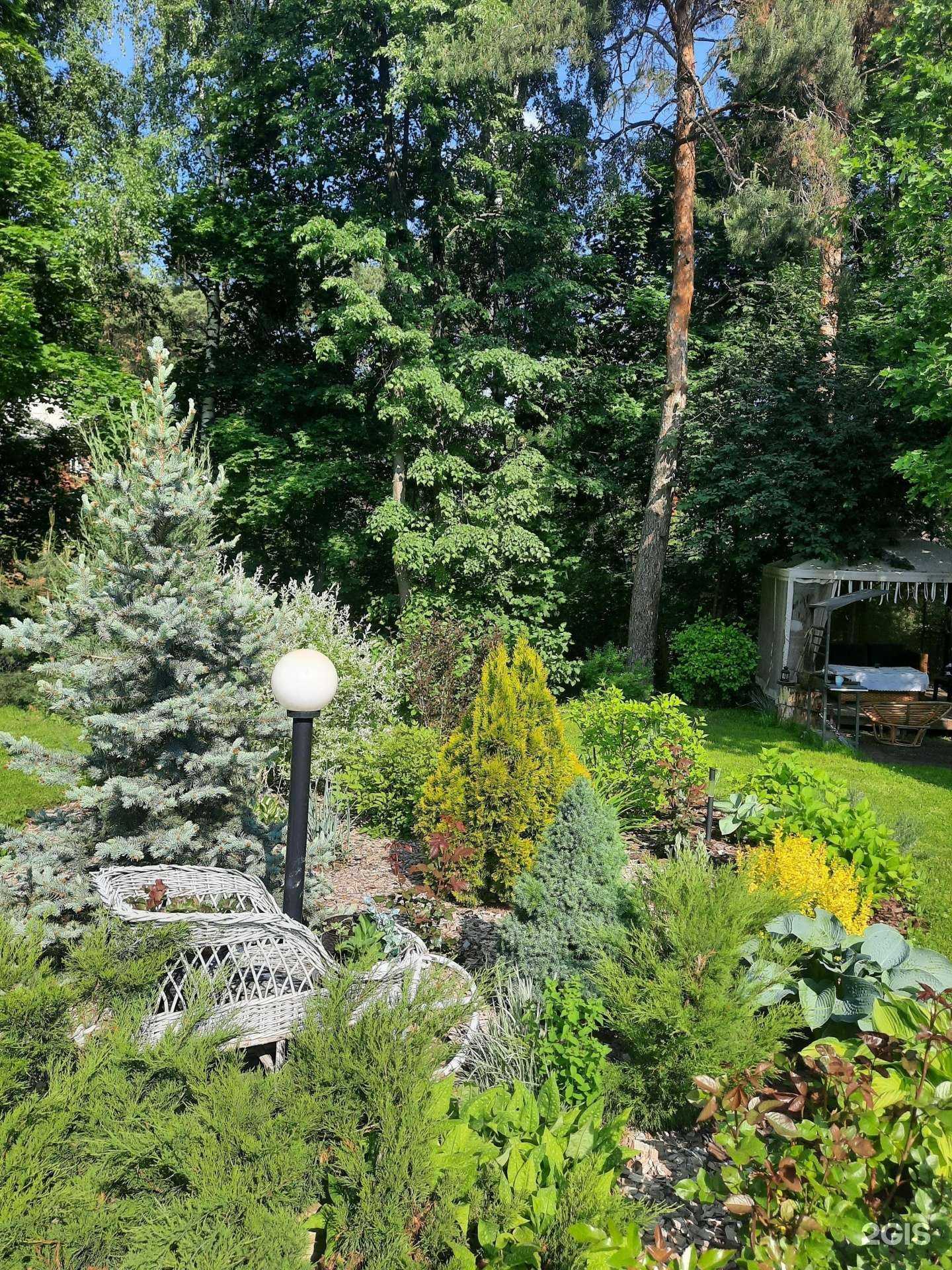 Отзывы на компанию Супер кот в Видном c фото - фотография 2 из 2