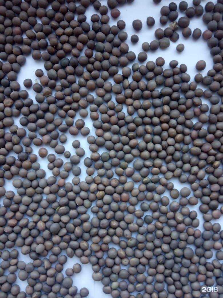 Отзывы на компанию Сидмаркет в Набережных Челнах c фото