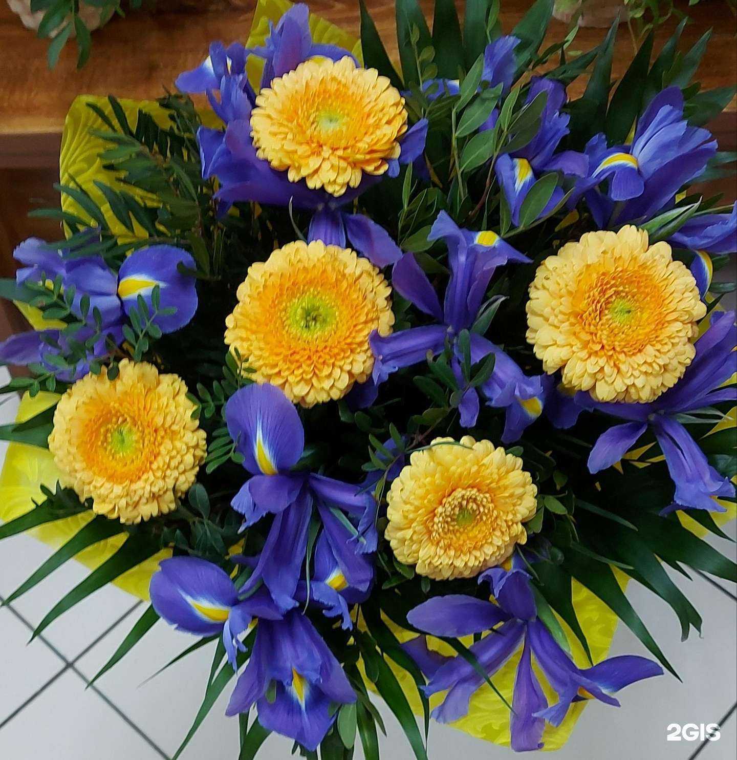 Отзывы на компанию Анастасия в Калининграде c фото