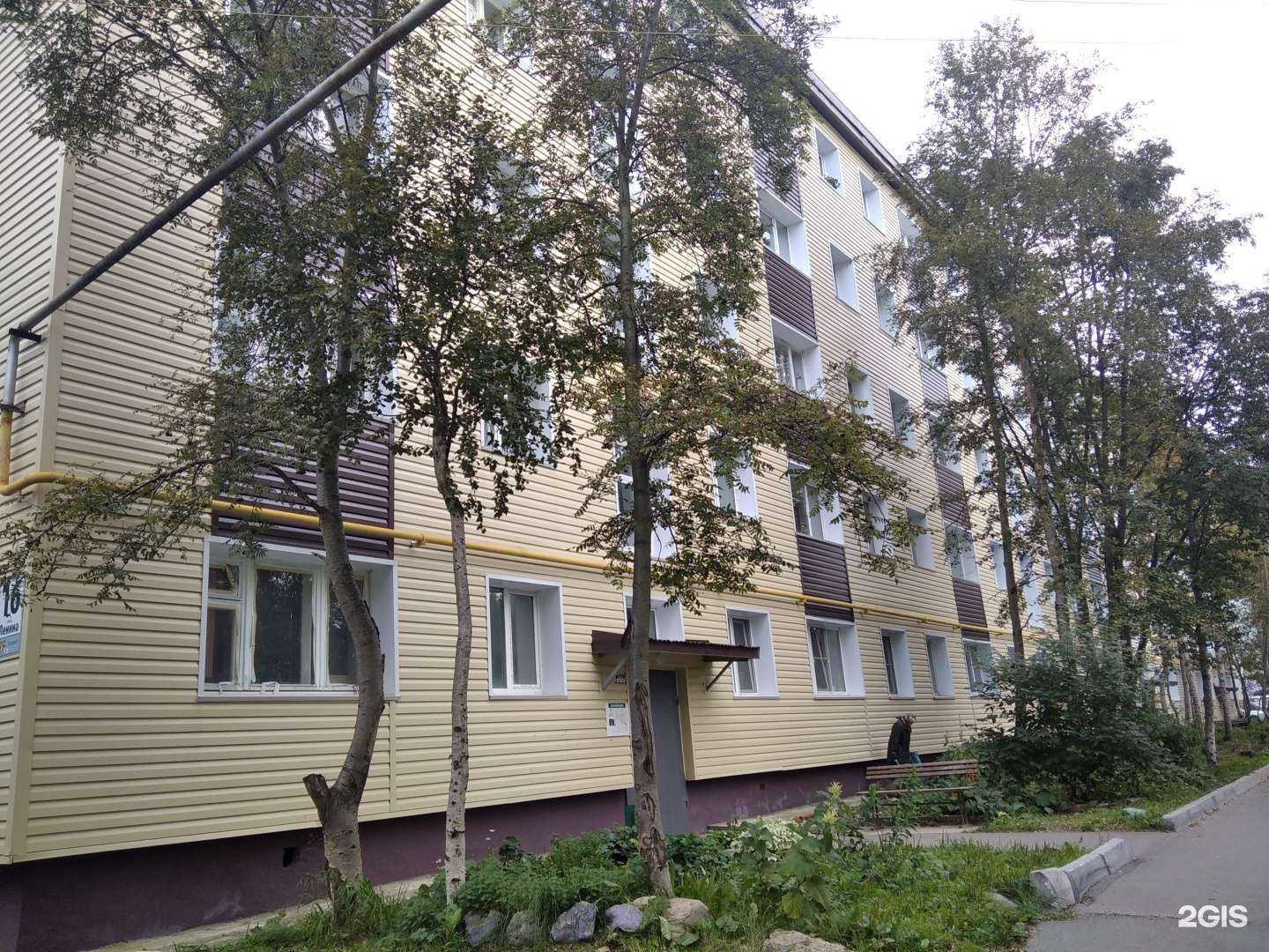 Отзывы на компанию Четыре лапы в Апатитах c фото - фотография 2 из 2