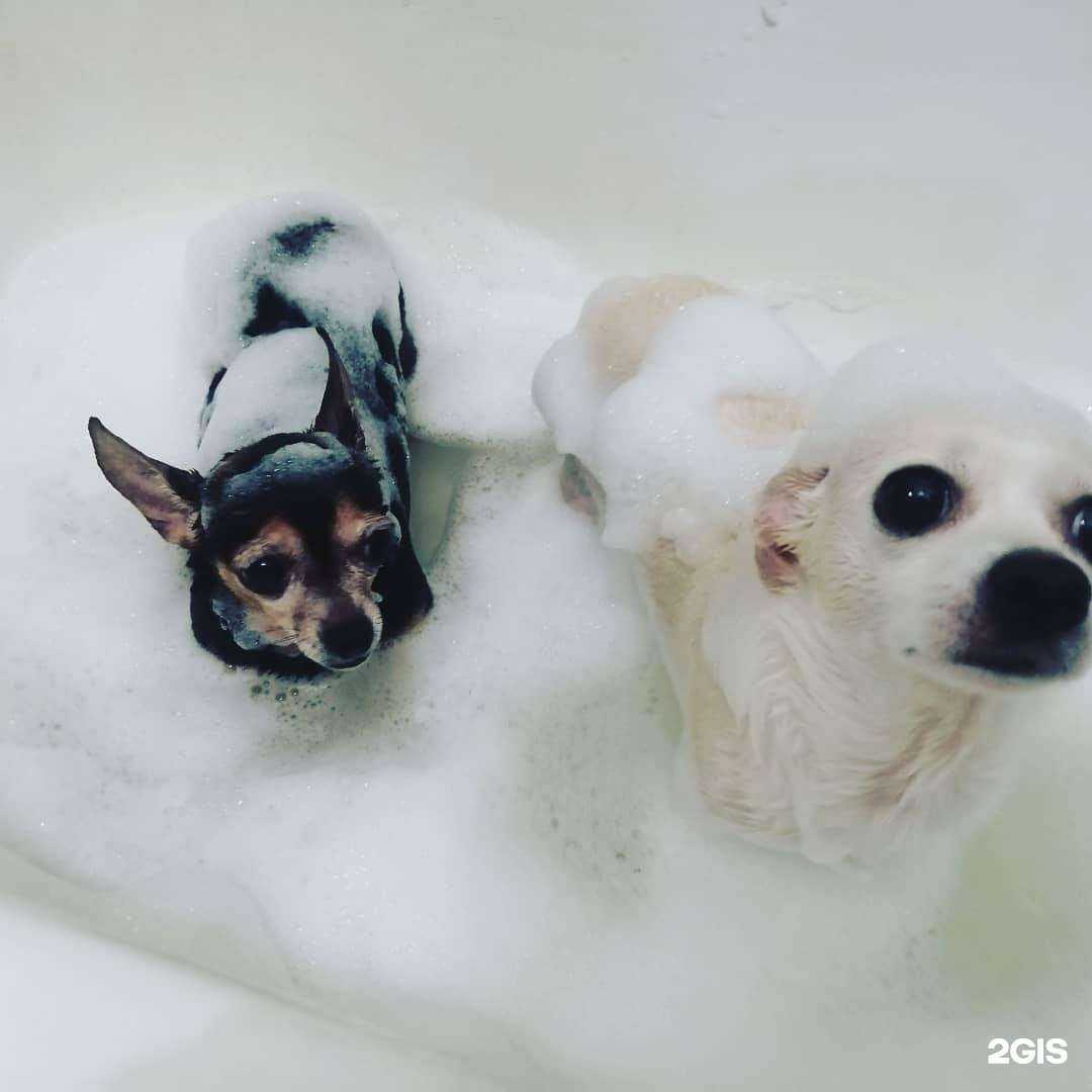 Отзывы на компанию Август в г. Хабаровск c фото