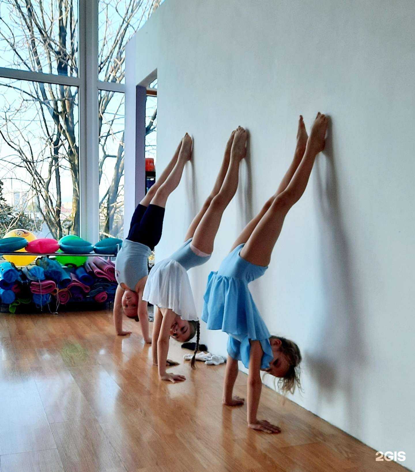 Отзывы на компанию Force в г. Сочи c фото