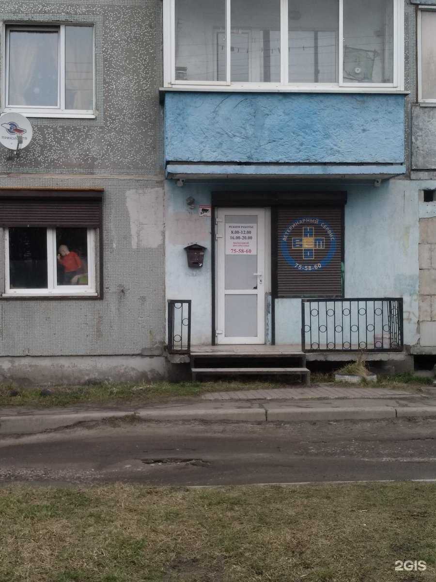 Отзывы на компанию Неовет в г. Калининград c фото