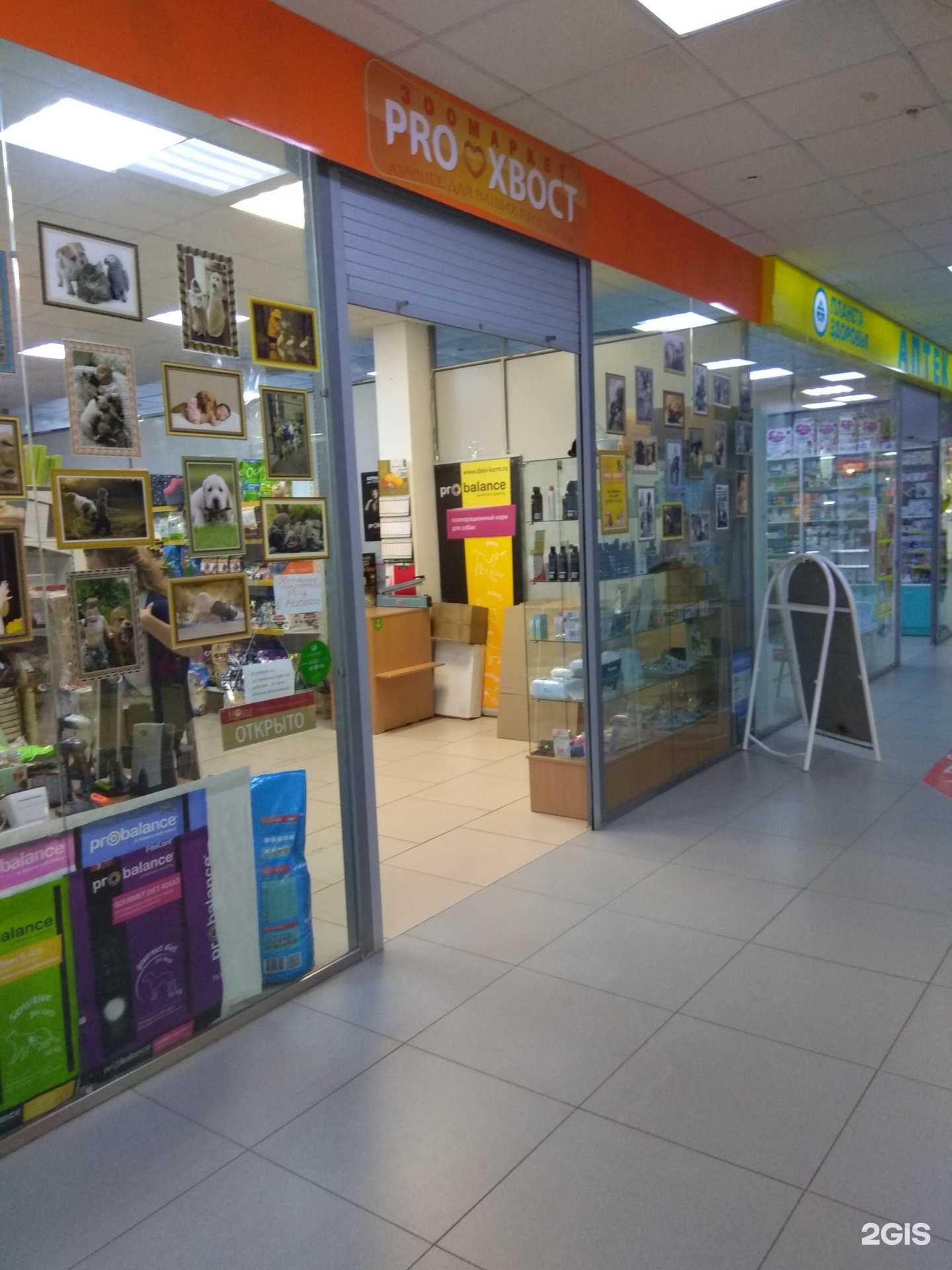 Отзывы на компанию ZooTop в Перми c фото