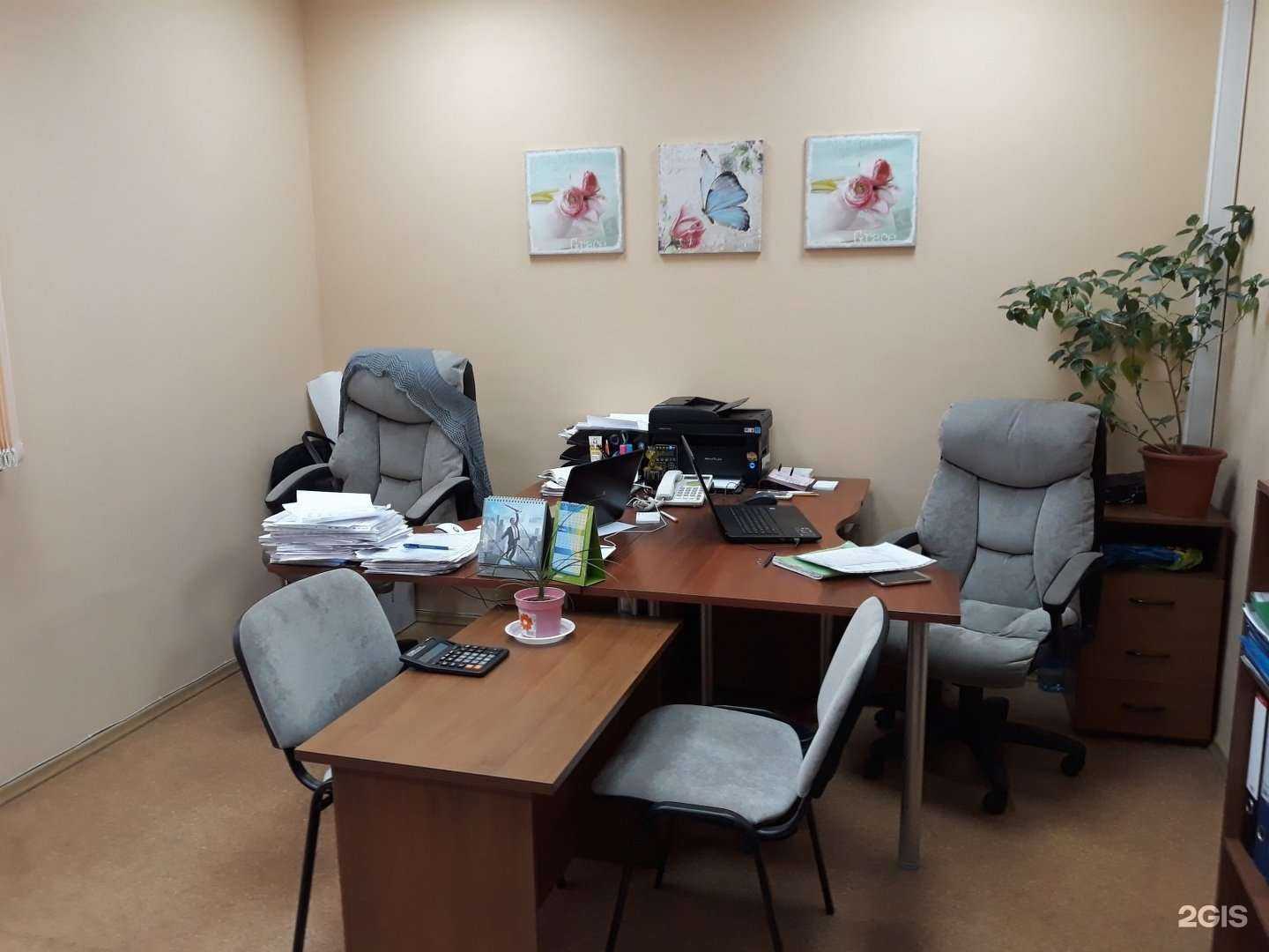 Отзывы на компанию Альтера в Новосибирске c фото