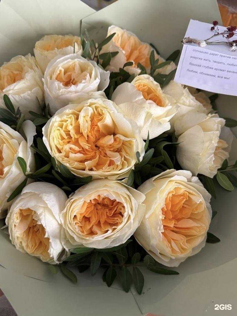 Отзывы на компанию Бон-Арт в Новосибирске c фото