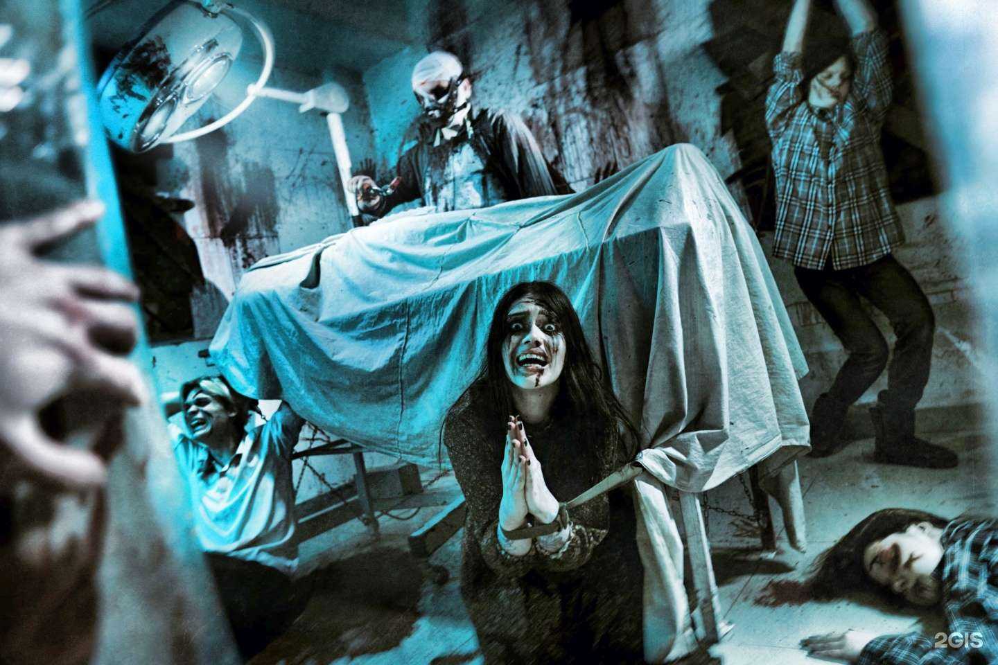 Отзывы на компанию Gipofiz в Новосибирске c фото