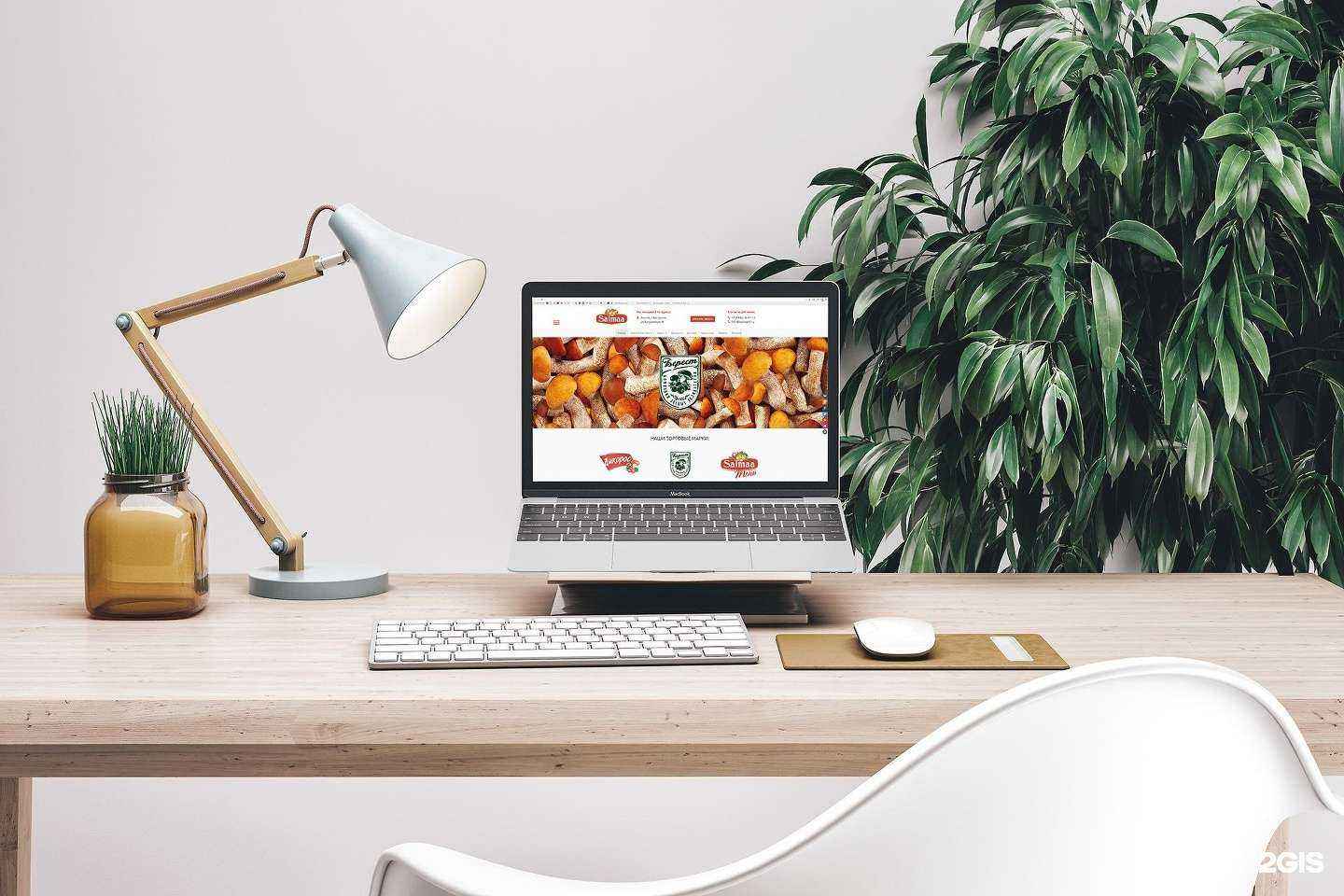 Отзывы на компанию Палитра в Костроме c фото