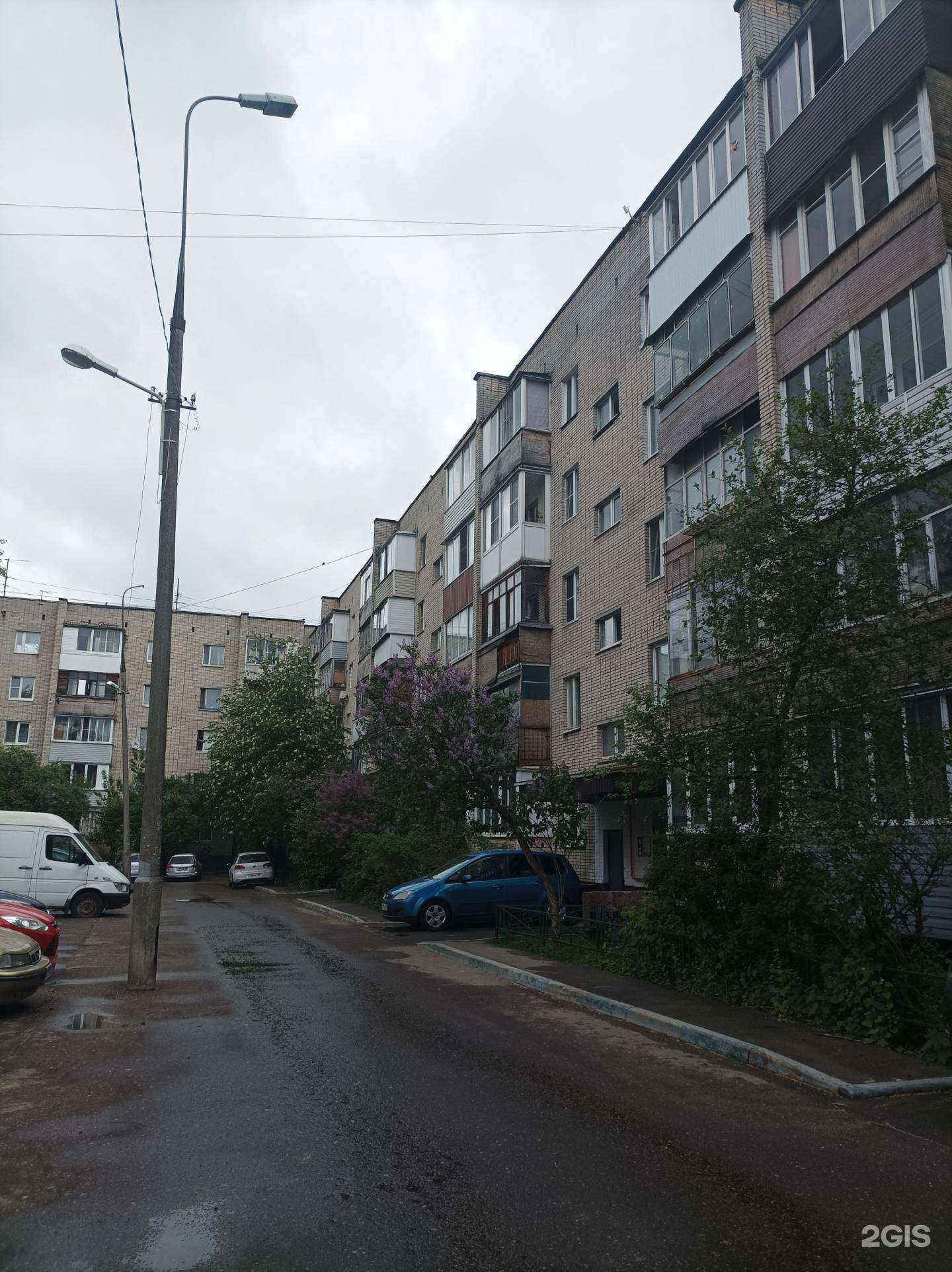 Отзывы на компанию Лапка в Химках c фото - фотография 2 из 2